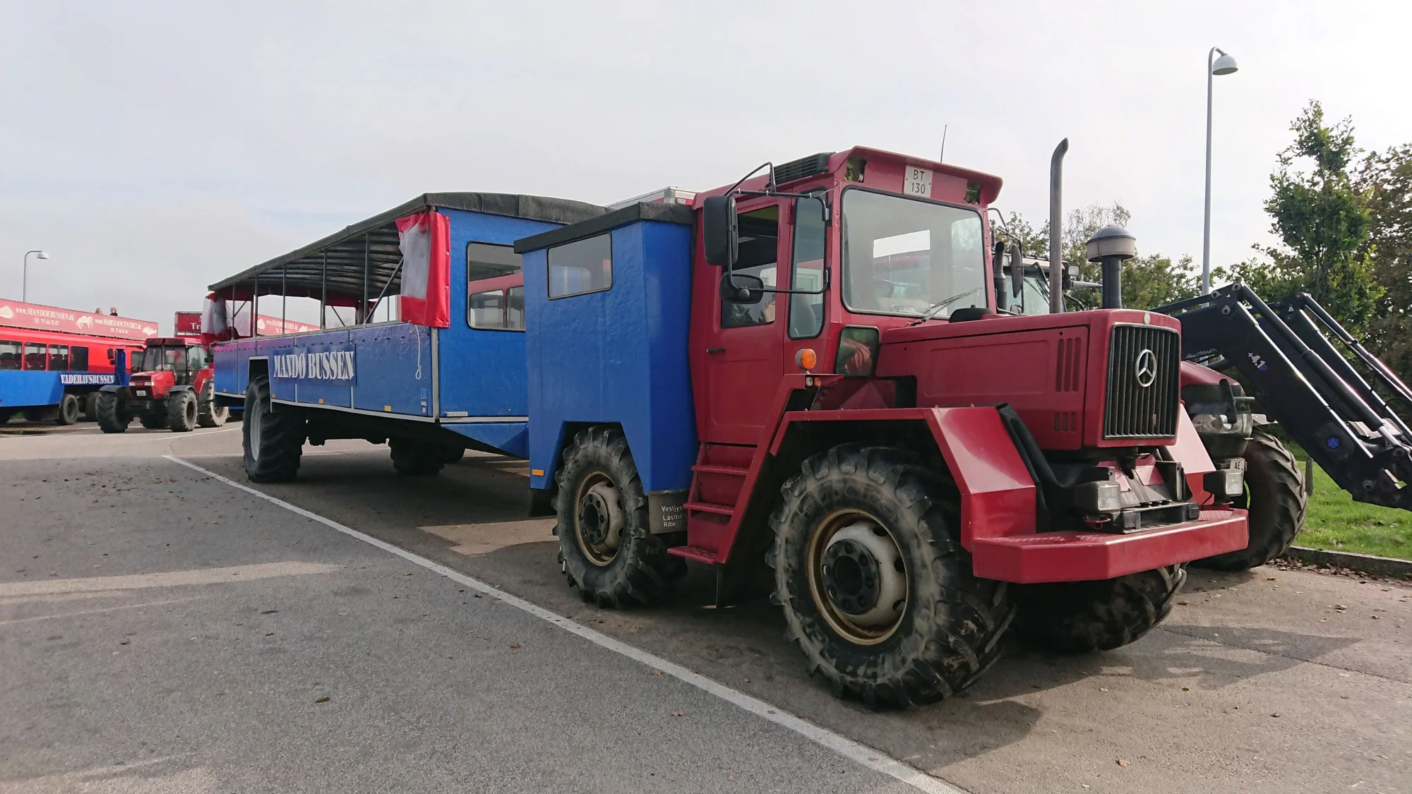 Autobusem do Dánska: tulení safari, rybářské městečko a západ slunce na ostrově