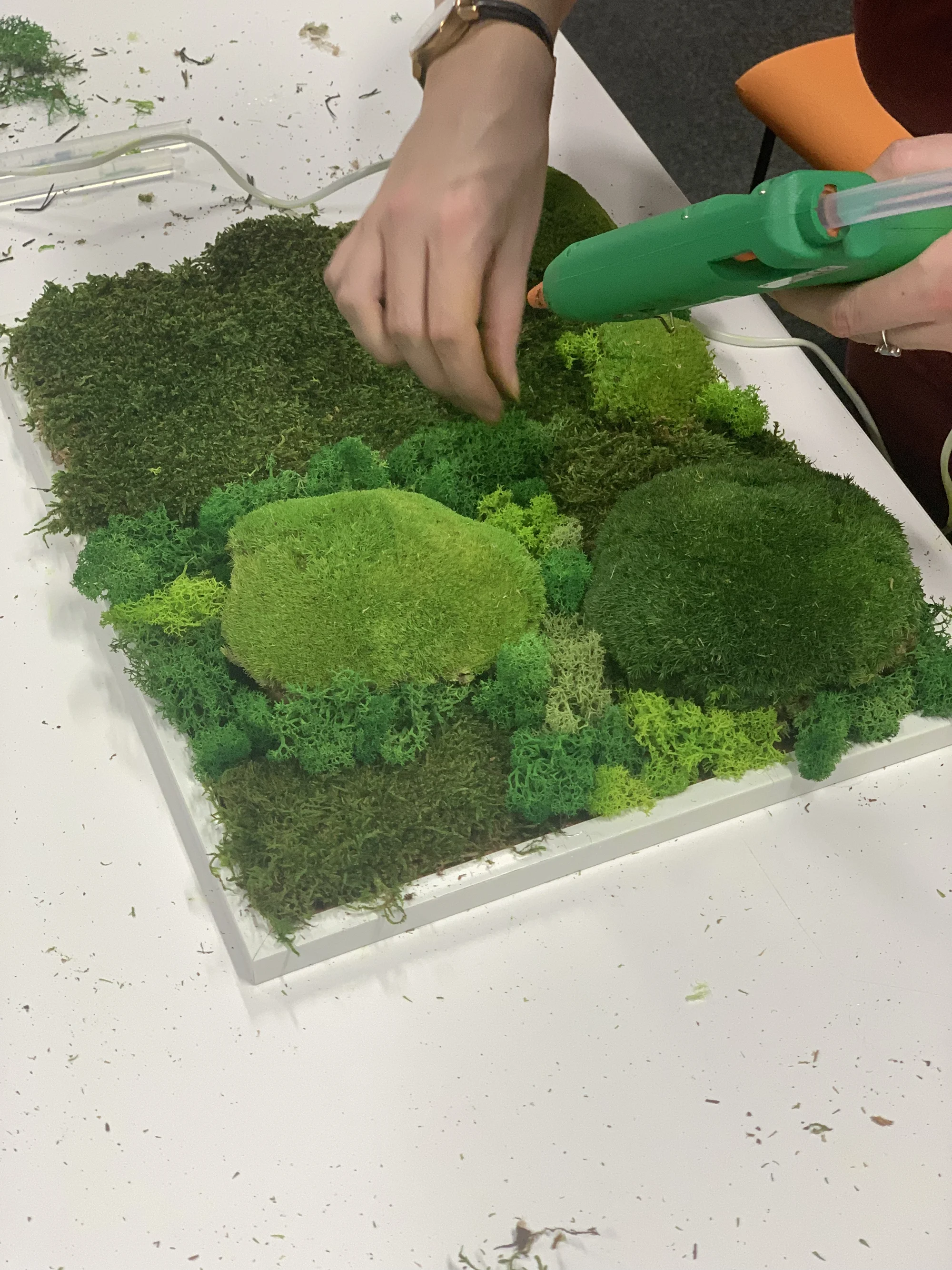 Workshop výroby mechového obrazu v Brně nebo Zlíně pro 1 či 2 osoby