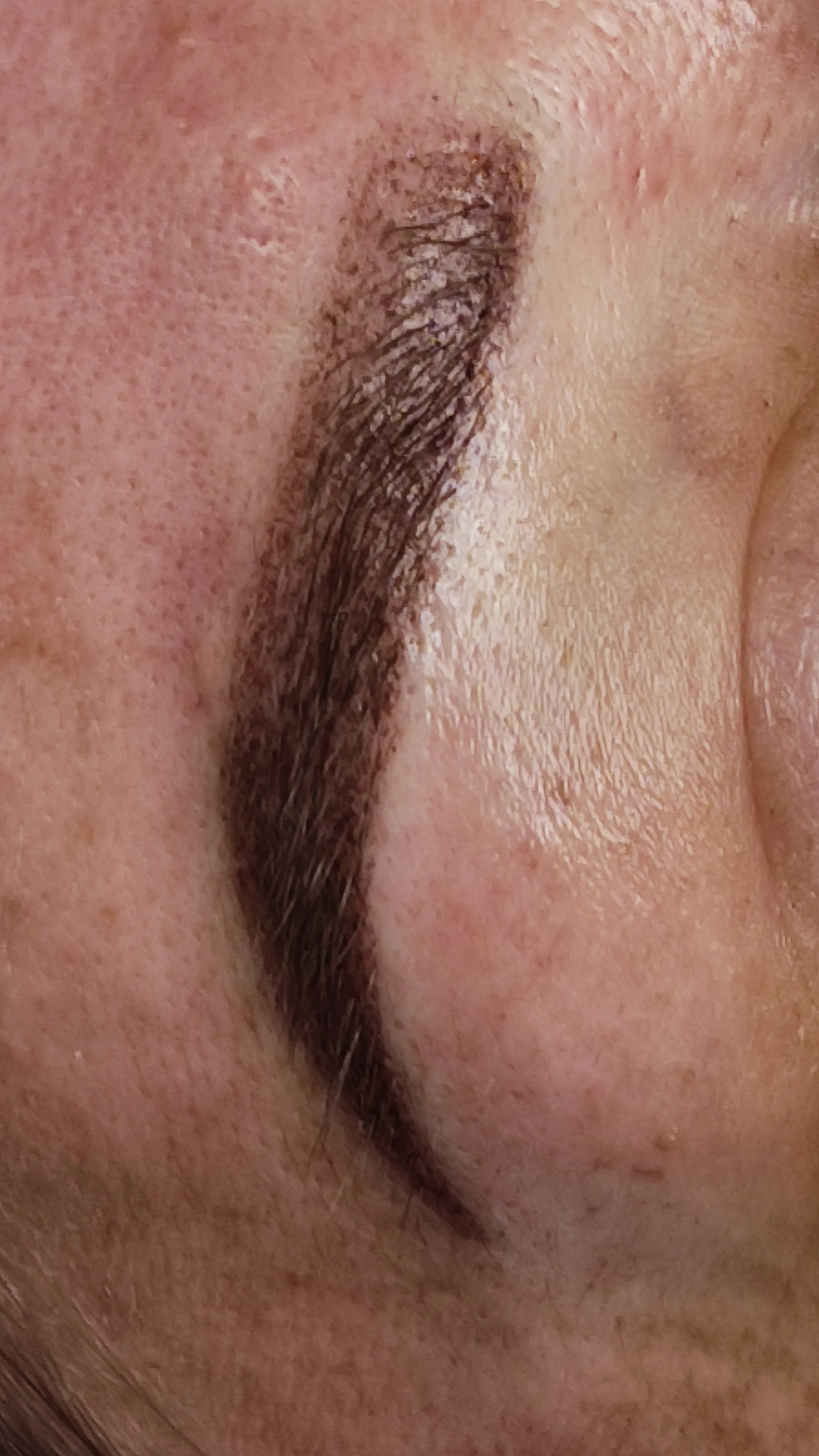 Permanentní make-up: microblading, horní linky, PMU rty a pudrové obočí