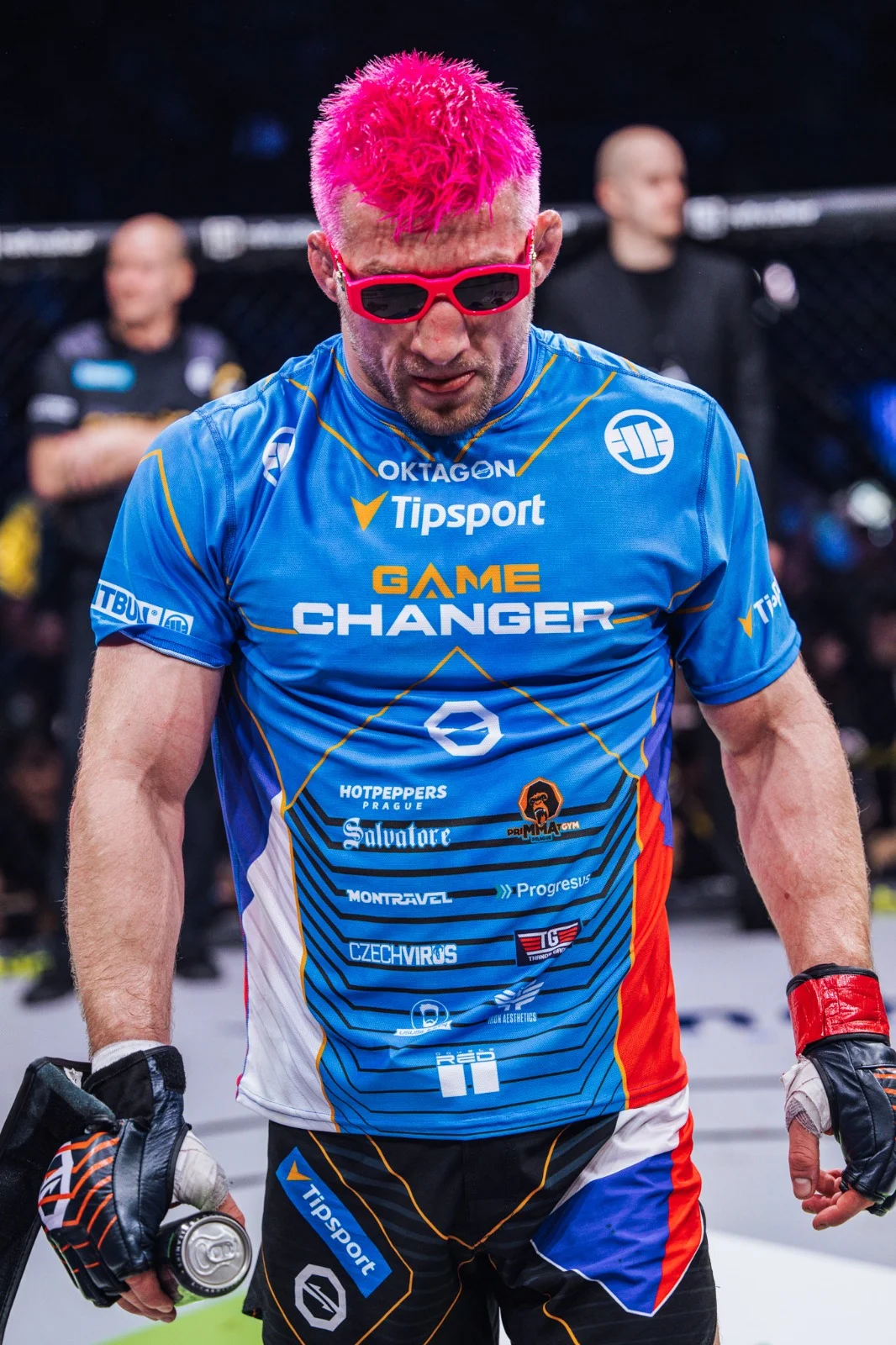 Soukromý trénink s Davidem "Pink Pantherem" Kozmou: lekce MMA pro jednoho i dva rváče