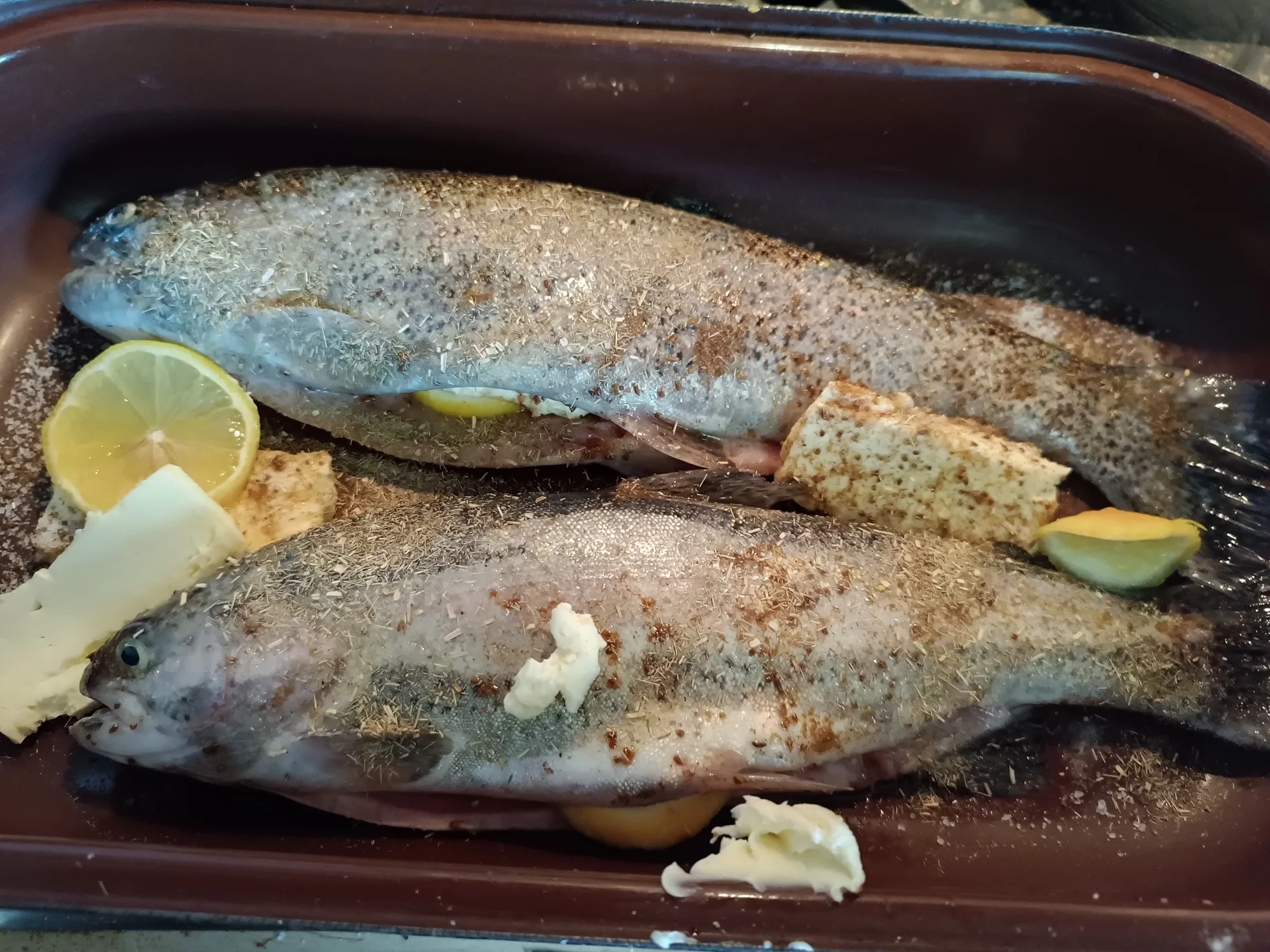 Prodej pstruhů čerstvě vylovených ze sádek v Šenově: 1 kg