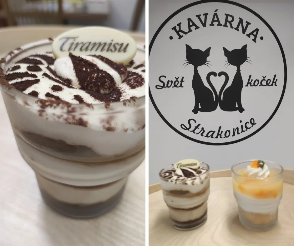 Voucher v hodnotě 150 až 500 Kč do kočičí kavárny: káva, koktejly i zákusky