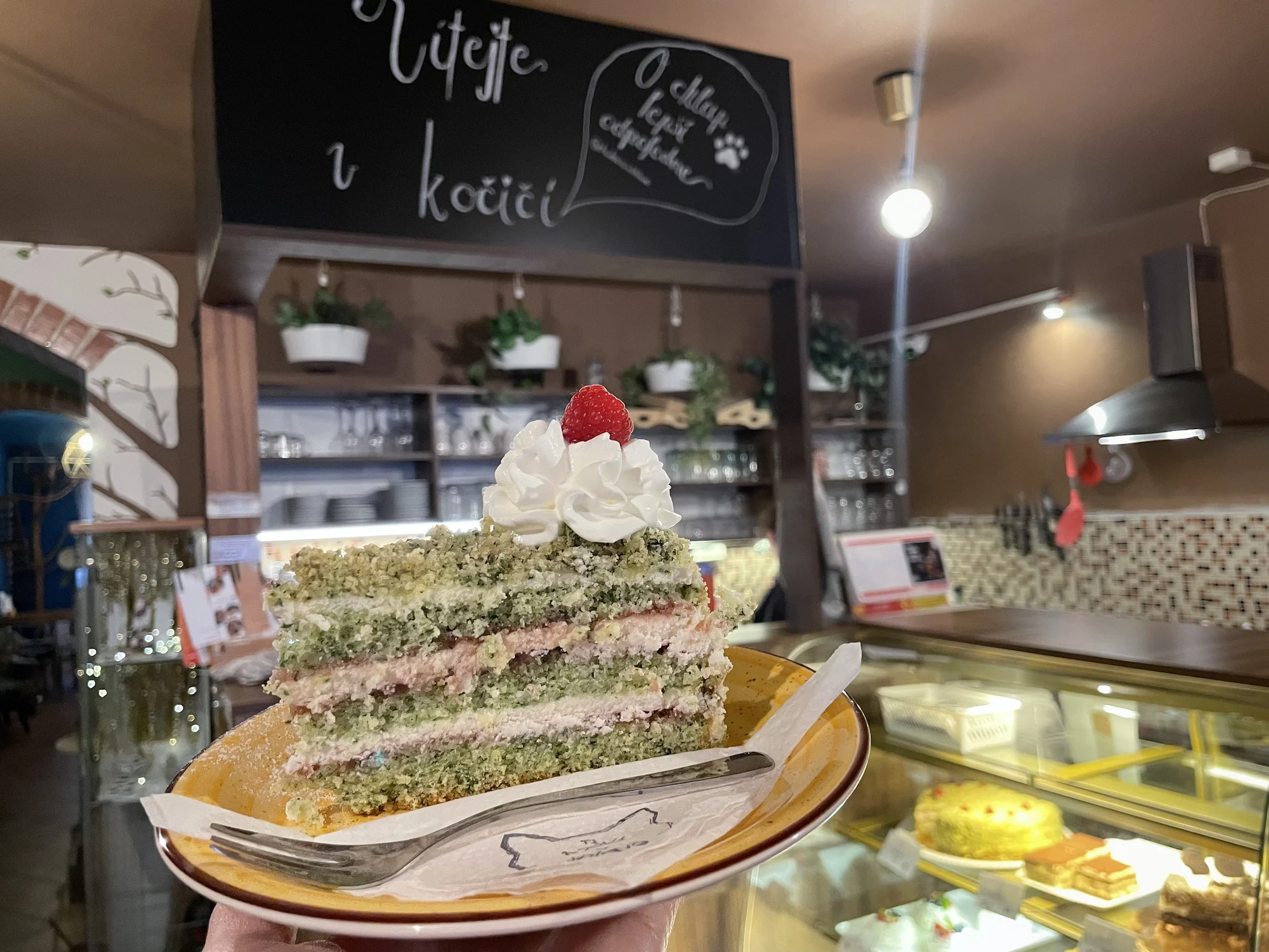 V kočičí společnosti: otevřený voucher do kočičí kavárny na 300 nebo 500 Kč
