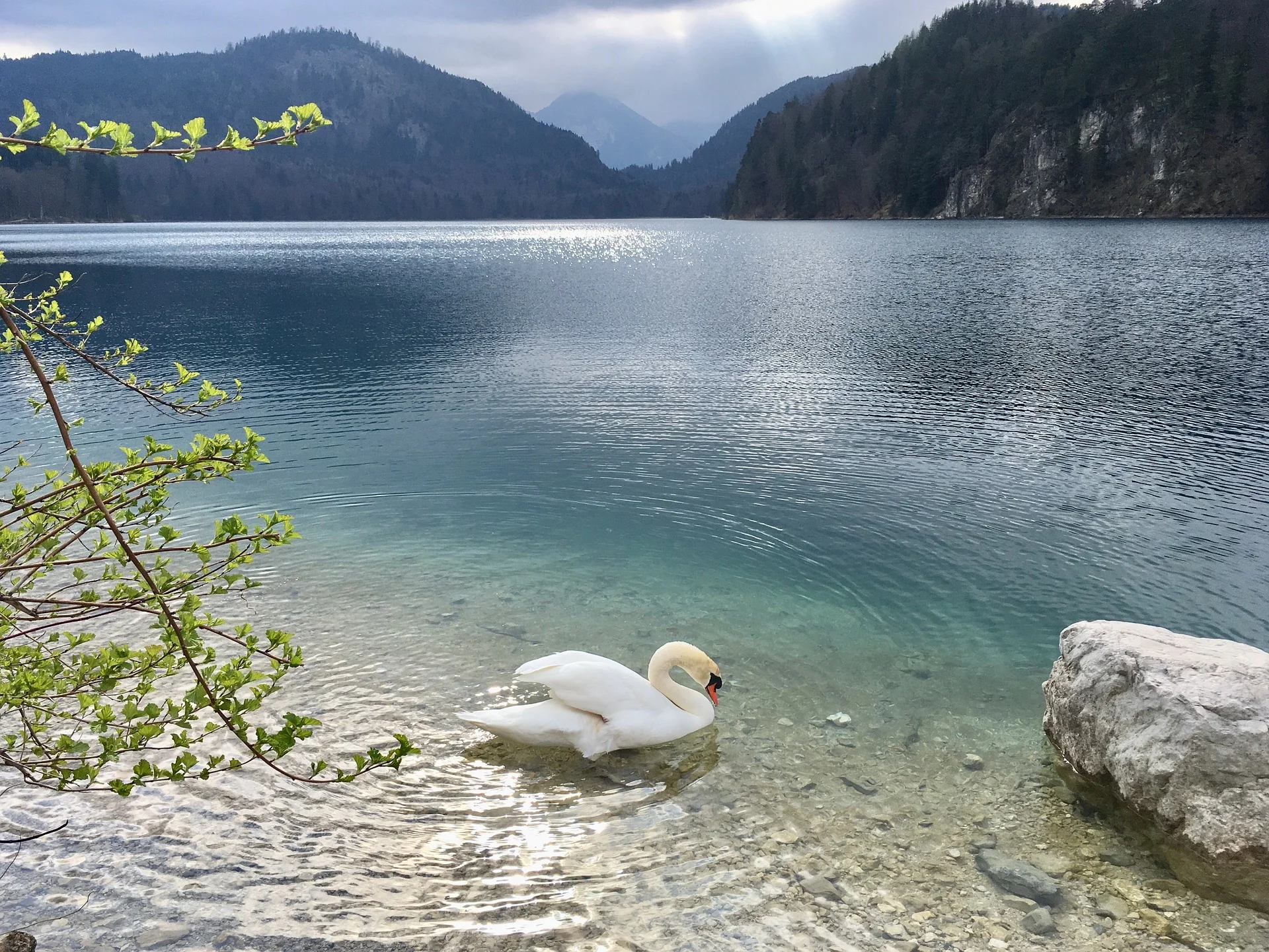 Pohádkové zámky šíleného krále: Neuschwanstein a Hohenschwangau vč. dopravy