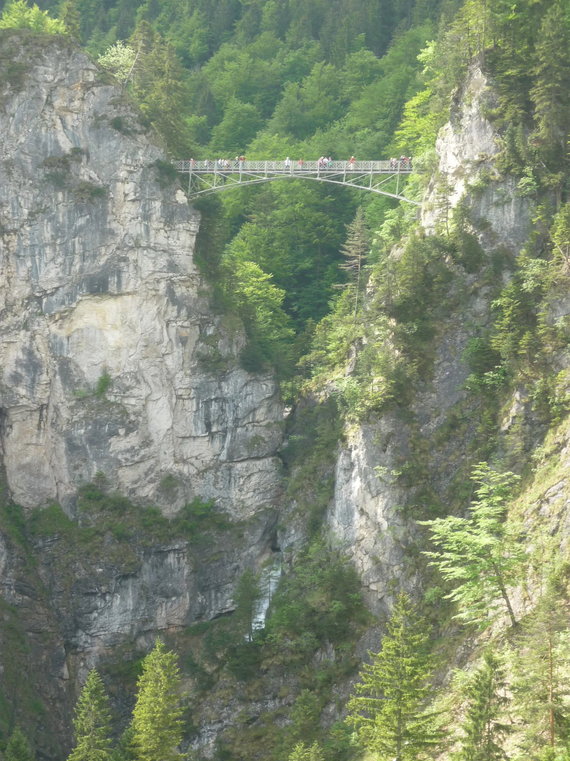 Pohádkové zámky šíleného krále: Neuschwanstein a Hohenschwangau vč. dopravy