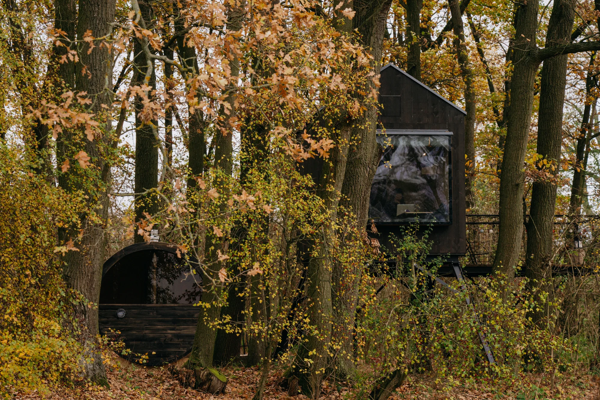 Kouzelný pobyt v treehouse až pro 4 osoby i venkovní sudová sauna