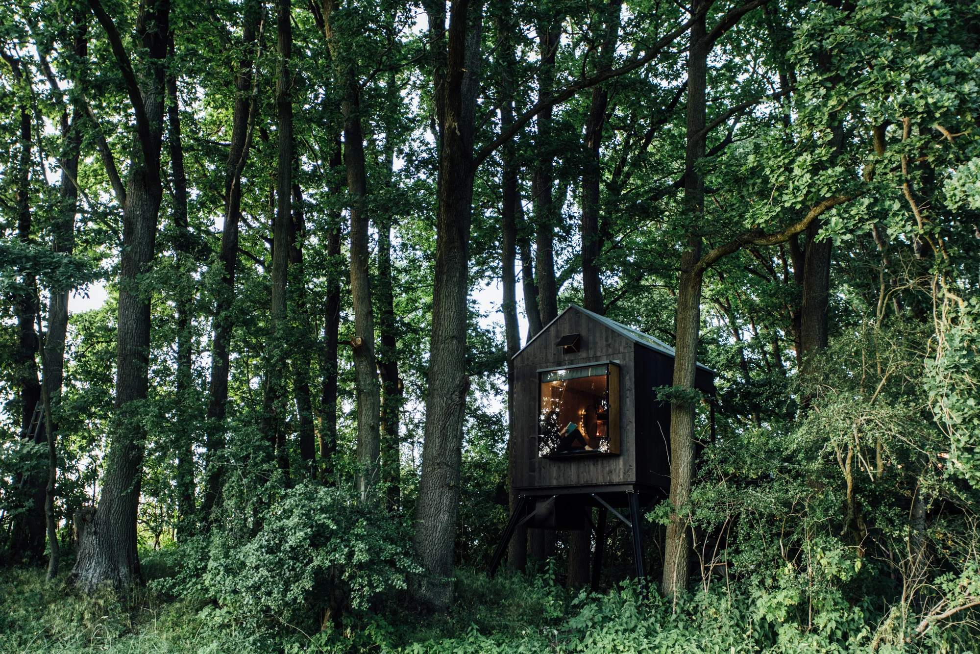 Kouzelný pobyt v treehouse až pro 4 osoby i venkovní sudová sauna