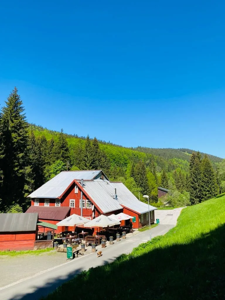 Za turistikou do Krkonoš: nocleh a domácí strava na kraji Harrachova