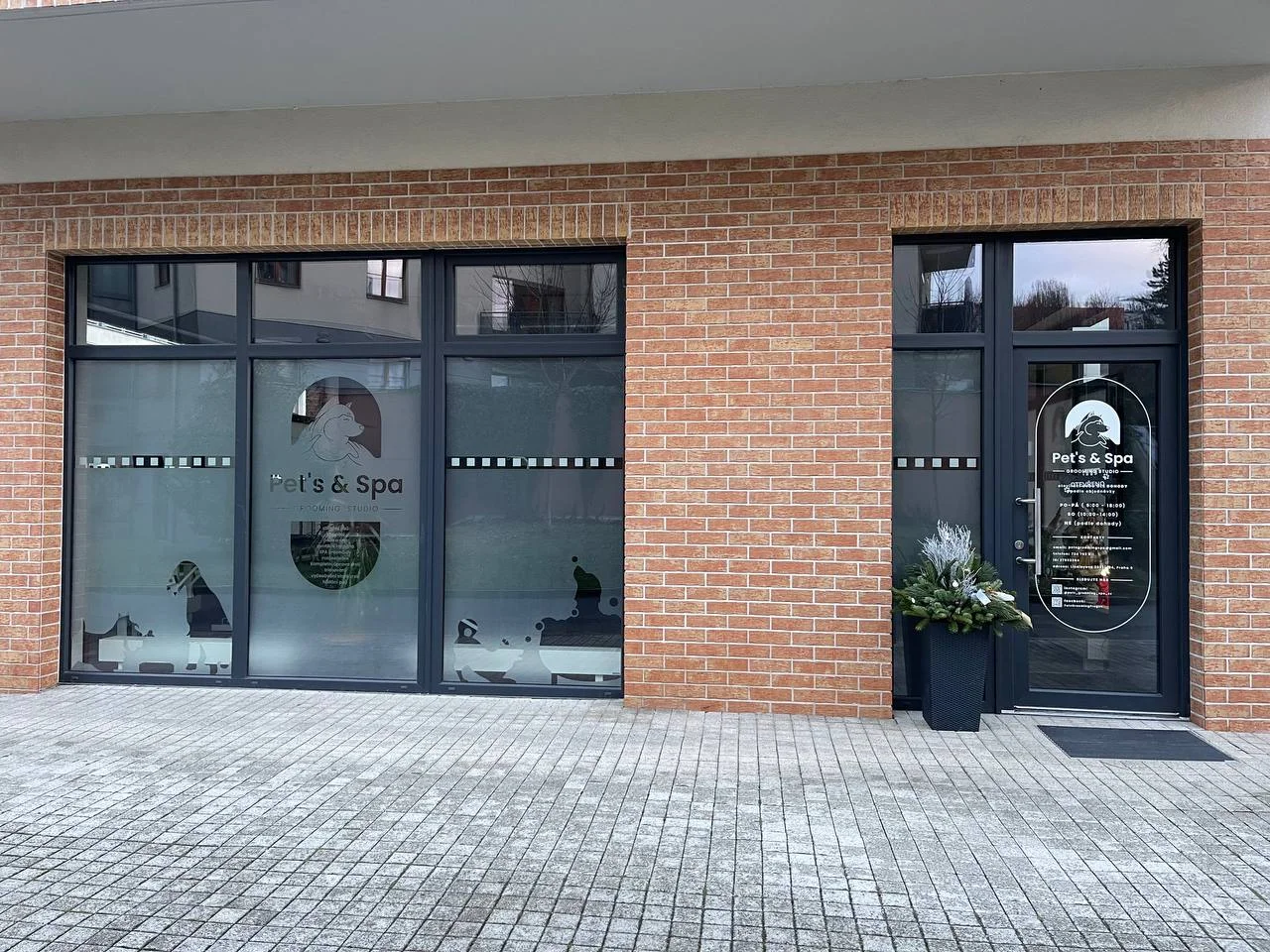 Kompletní péče o psy v dejvickém Pet´s Grooming & Spa: koupání, česání i střihání drápků a čištění uší