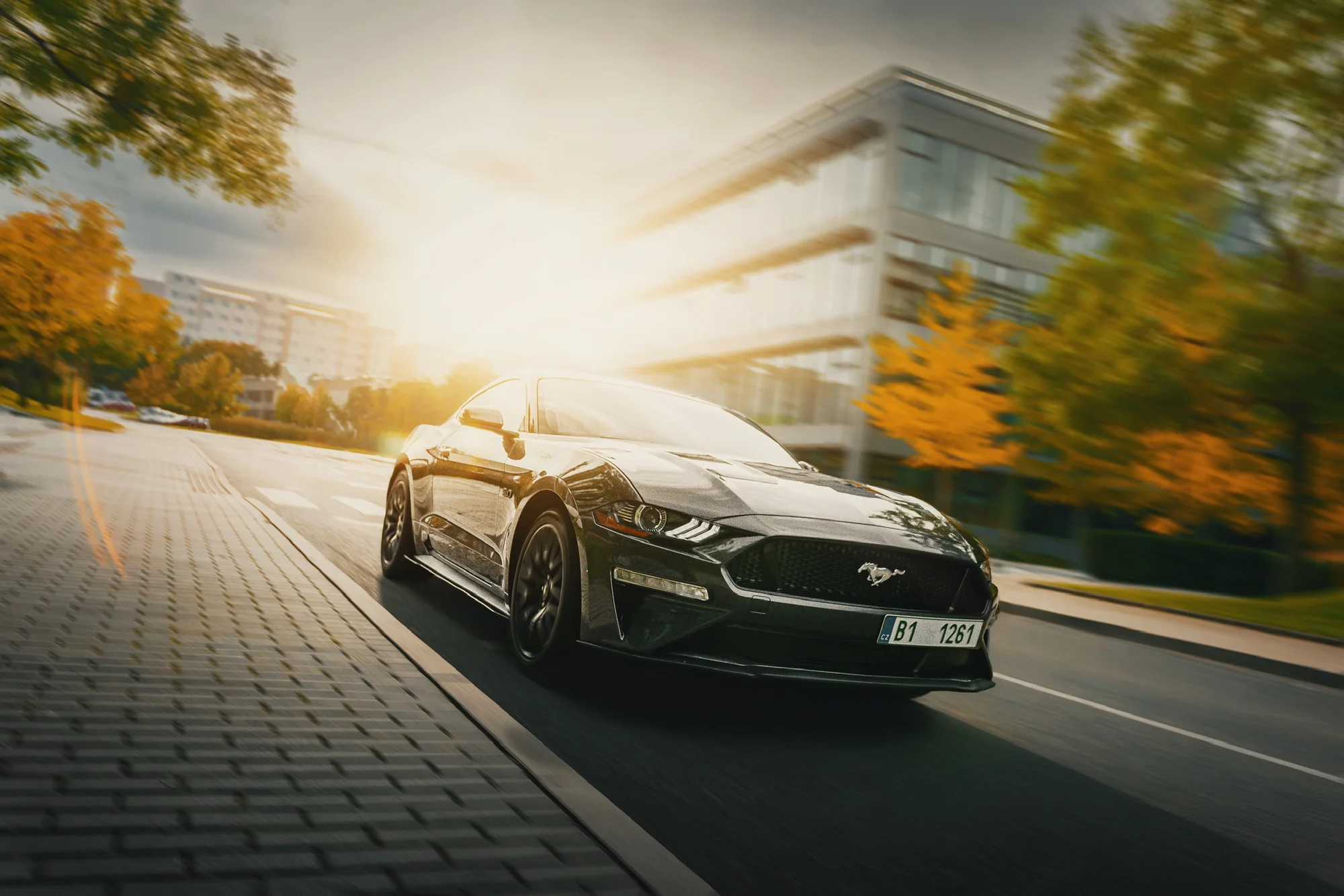 Pronájem Fordu Mustang GT 5.0 V8 bez instruktora: 24 hodin, celý i prodloužený víkend