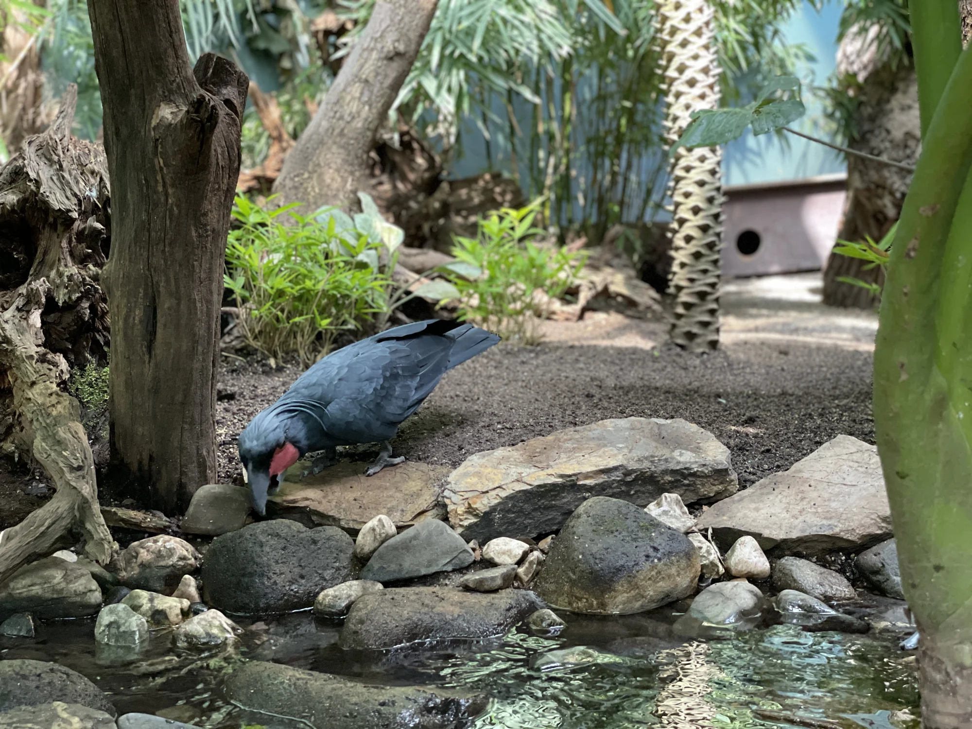Vstupenka do pražské ZOO s online audioprůvodcem pro dítě i dospělého
