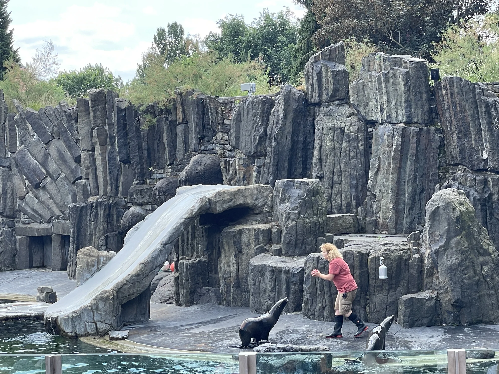 Vstupenka do pražské ZOO s online audioprůvodcem pro dítě i dospělého