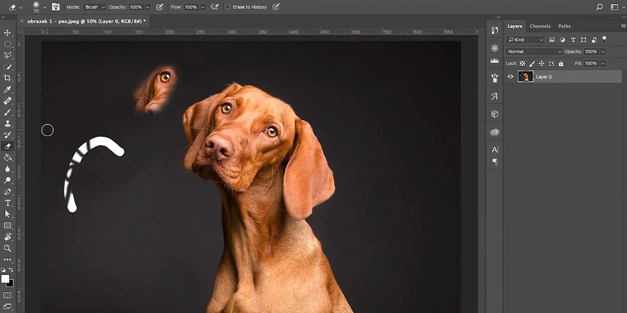 Jak na Photoshop: jedna online lekce i celý kurz 30 videí s doživotním přístupem