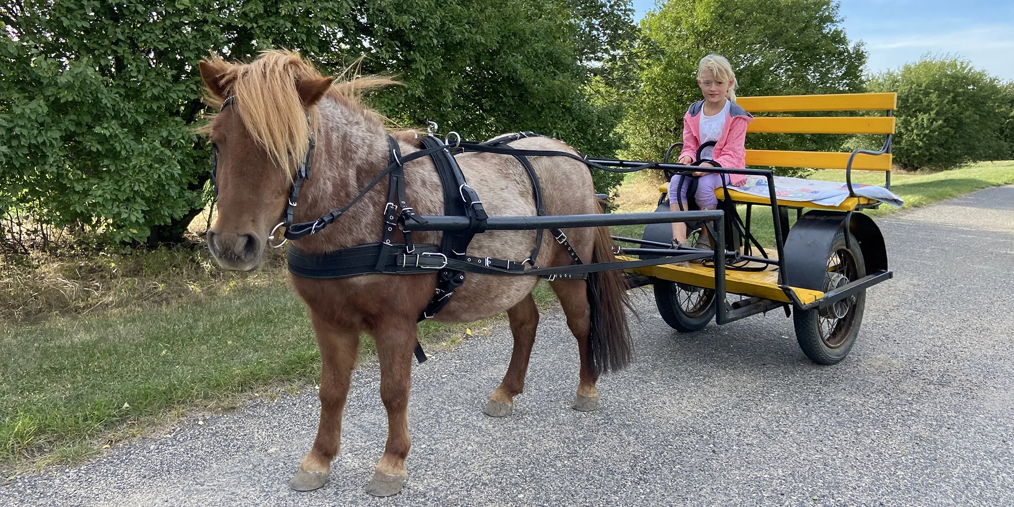 Hodinová projížďka na poníkovi, tažném vozíku či koni na Rodinné farmě Bukovi pro děti i dospělé