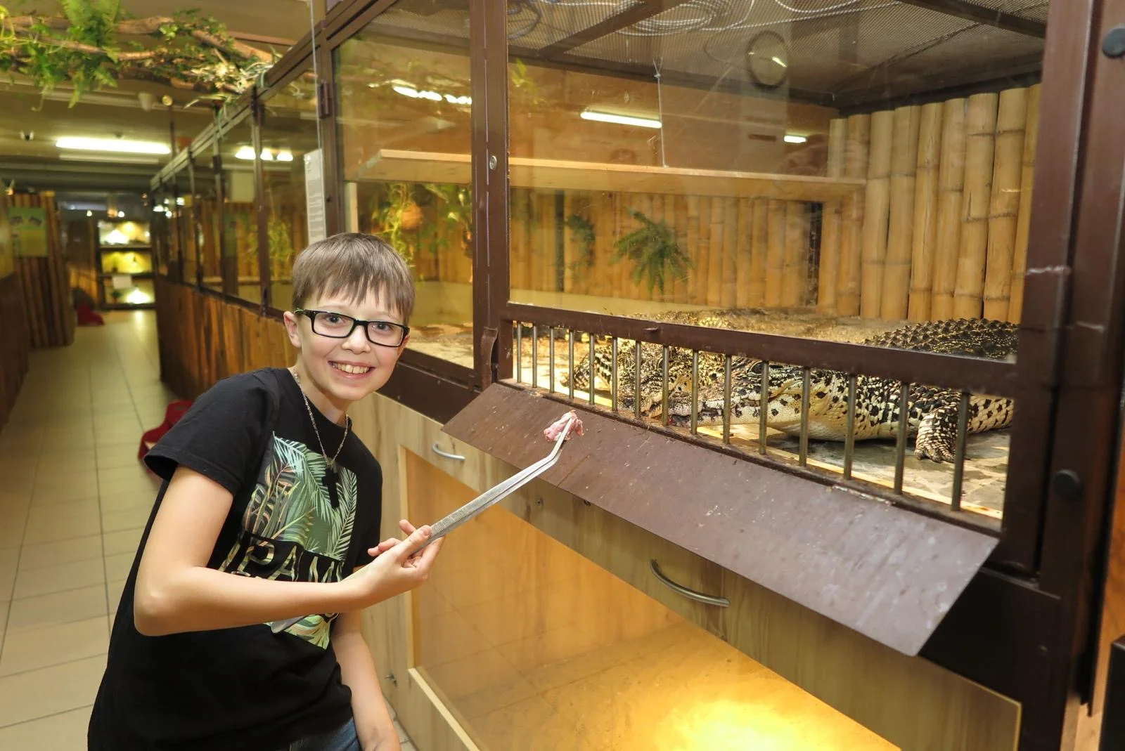 Nakrmte krokodýly: VIP vstupenka do Krokodýlí Zoo pro 1 či 2 osoby