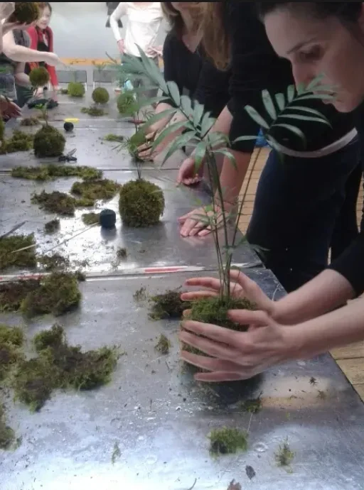 Rozvíjejte kreativního ducha: workshop výroby kokedam vč. všech pomůcek