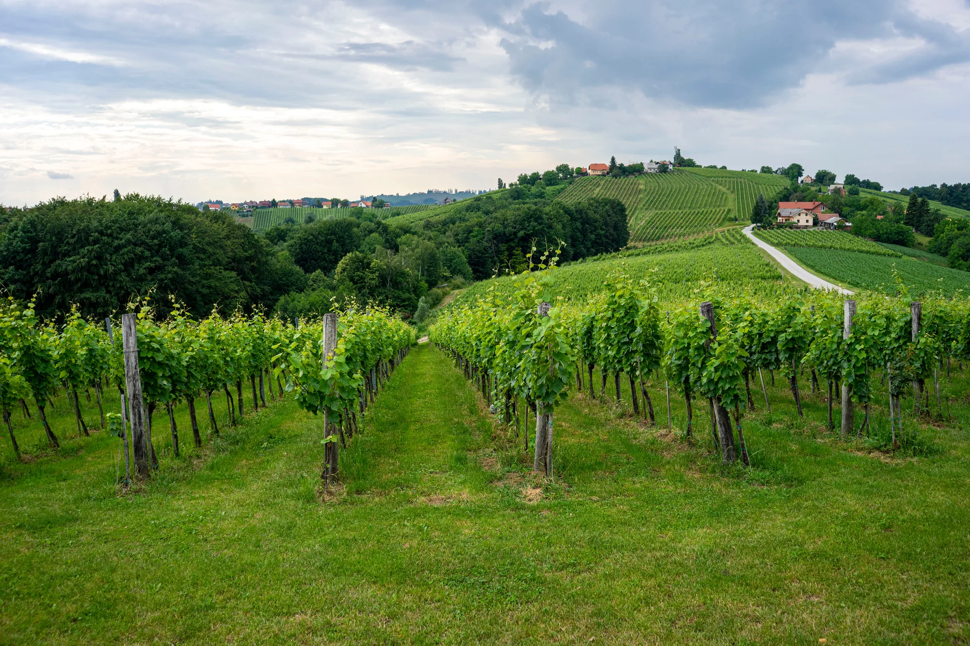 Rodinný relax ve slovinských termálech Terme Banovci: sauna, termální bazény i snídaně, 2 děti zdarma