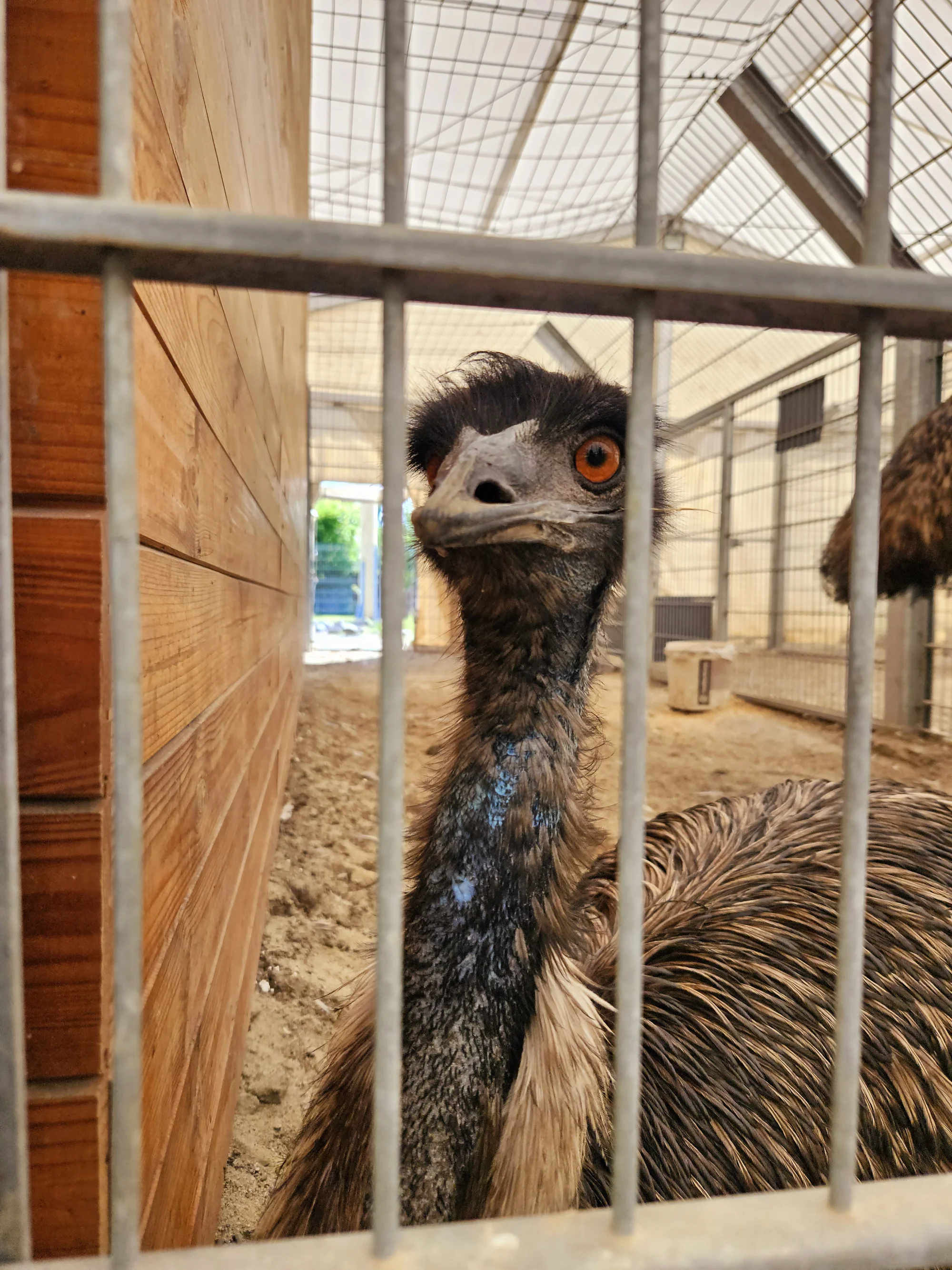 Vstupenky do polského zábavního Dream Parku Ochaby pro celou rodinu