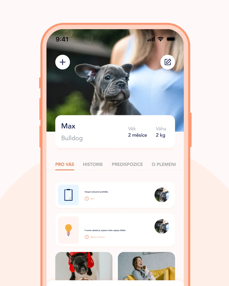 Aplikace tlappka - 24/7 online přístup k veterináři a průvodce správnou péčí na míru
