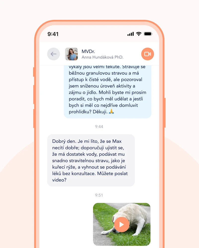 Aplikace tlappka - 24/7 online přístup k veterináři a průvodce správnou péčí na míru