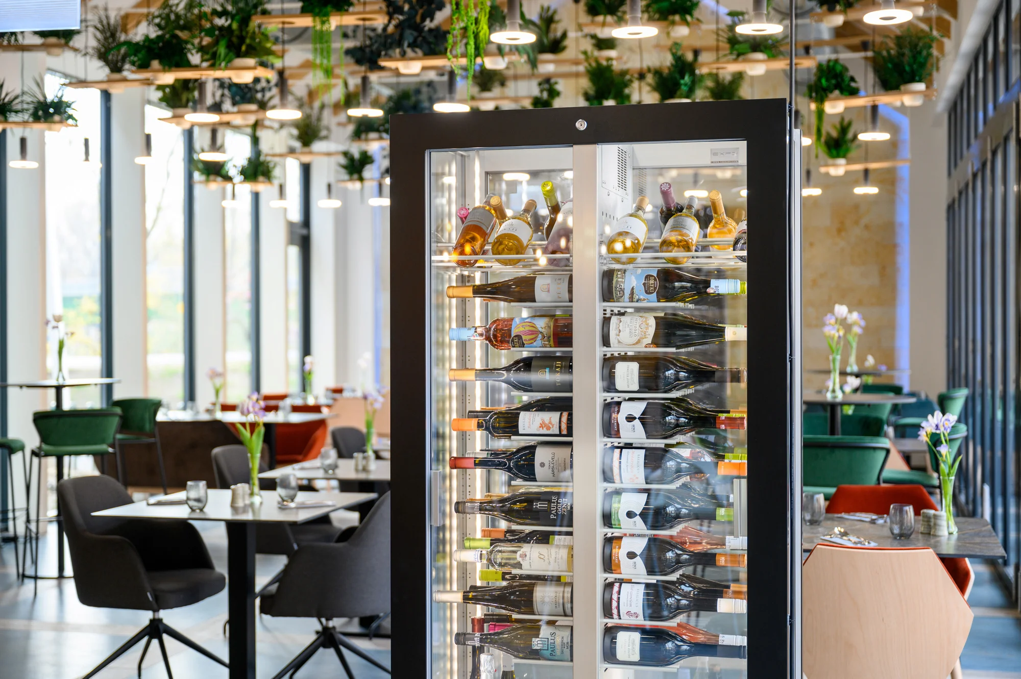 Wellness pobyt ve vyhlášené vinařské oblasti Tokaj: polopenze i celodenní vstup do wellness