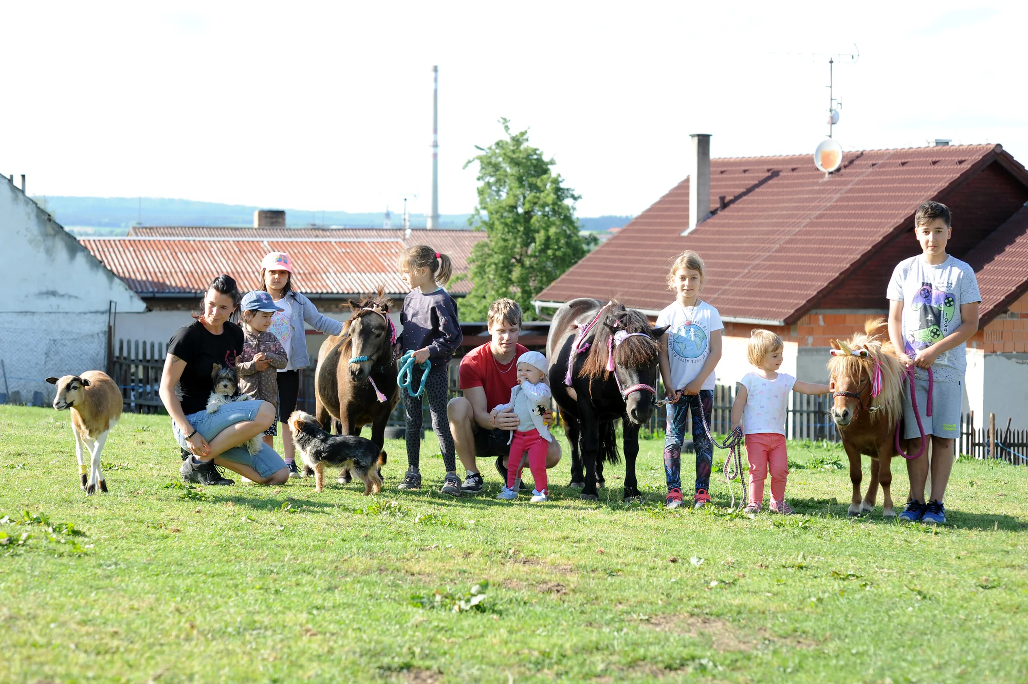 Zážitkový balíček na farmě vč. lamatrekingu, jízdy na koni a dárku