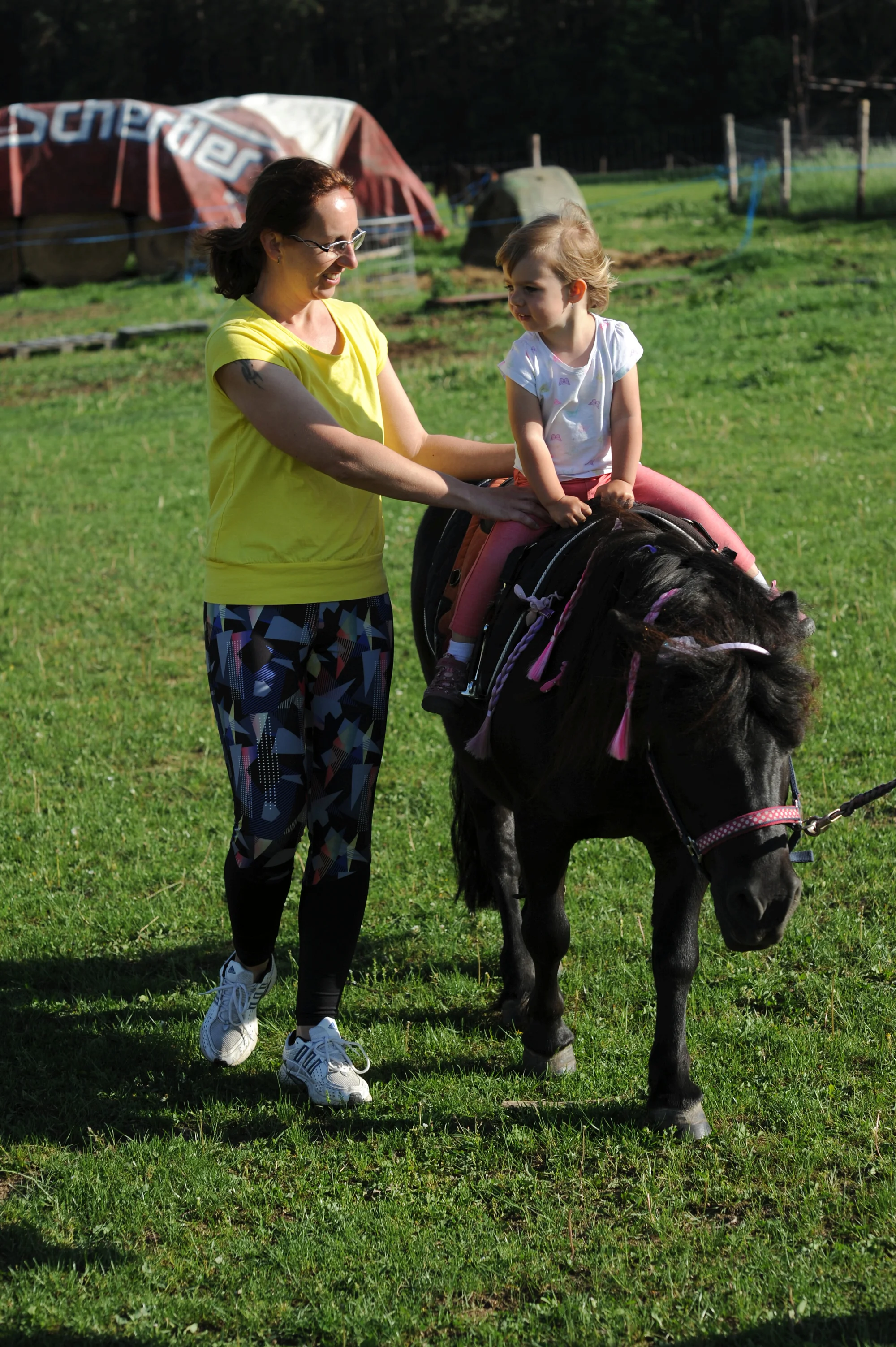 Ošetřovatelem poníka vč. výkladu a jízdy ve Stáji Merlin