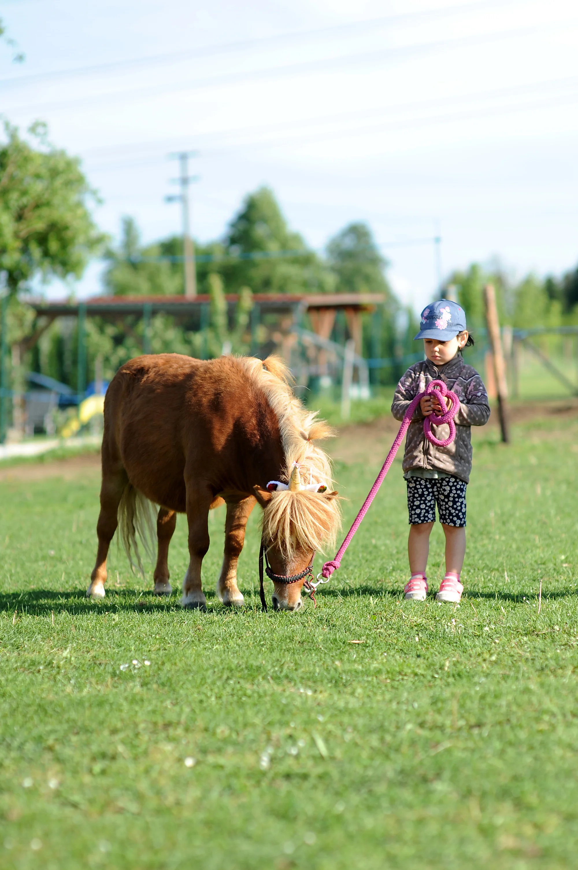 Zážitkový balíček na farmě vč. lamatrekingu, jízdy na koni a dárku