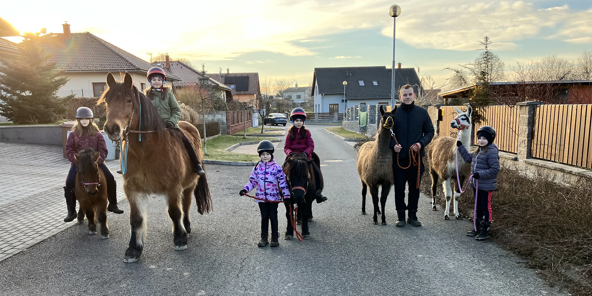 Ošetřovatelem poníka vč. výkladu a jízdy ve Stáji Merlin