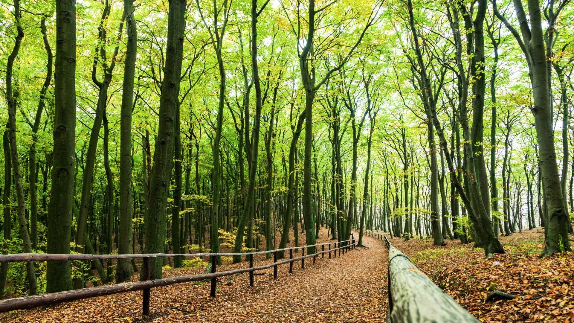 Nový hotel u jezera Wisełka: pláže Baltu i Volyňský park na dosah, wellness a polopenze v ceně