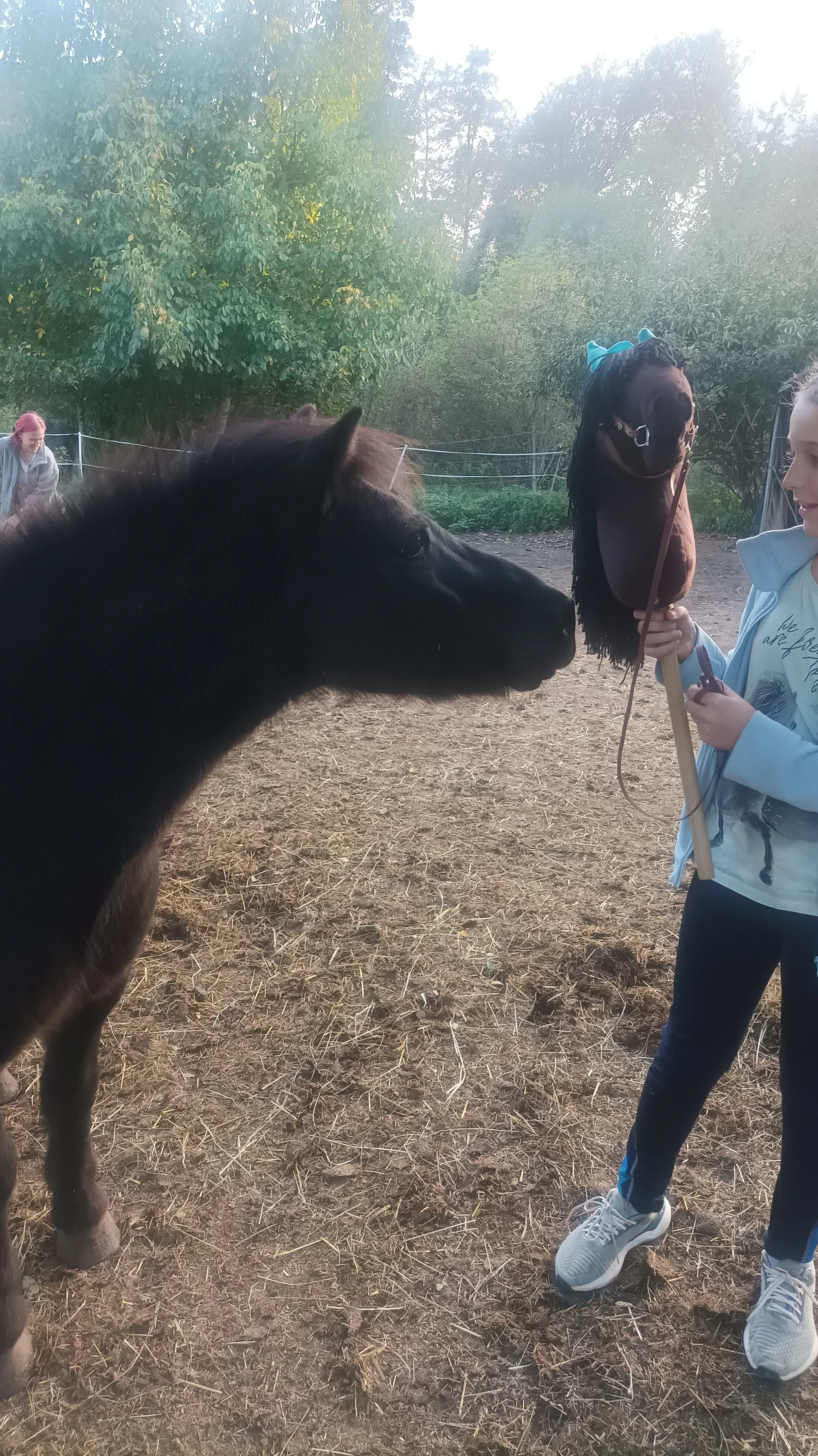 Hobby horsing: individuální parkurový, drezurní i westernový trénink, začátečníci i pokročilí