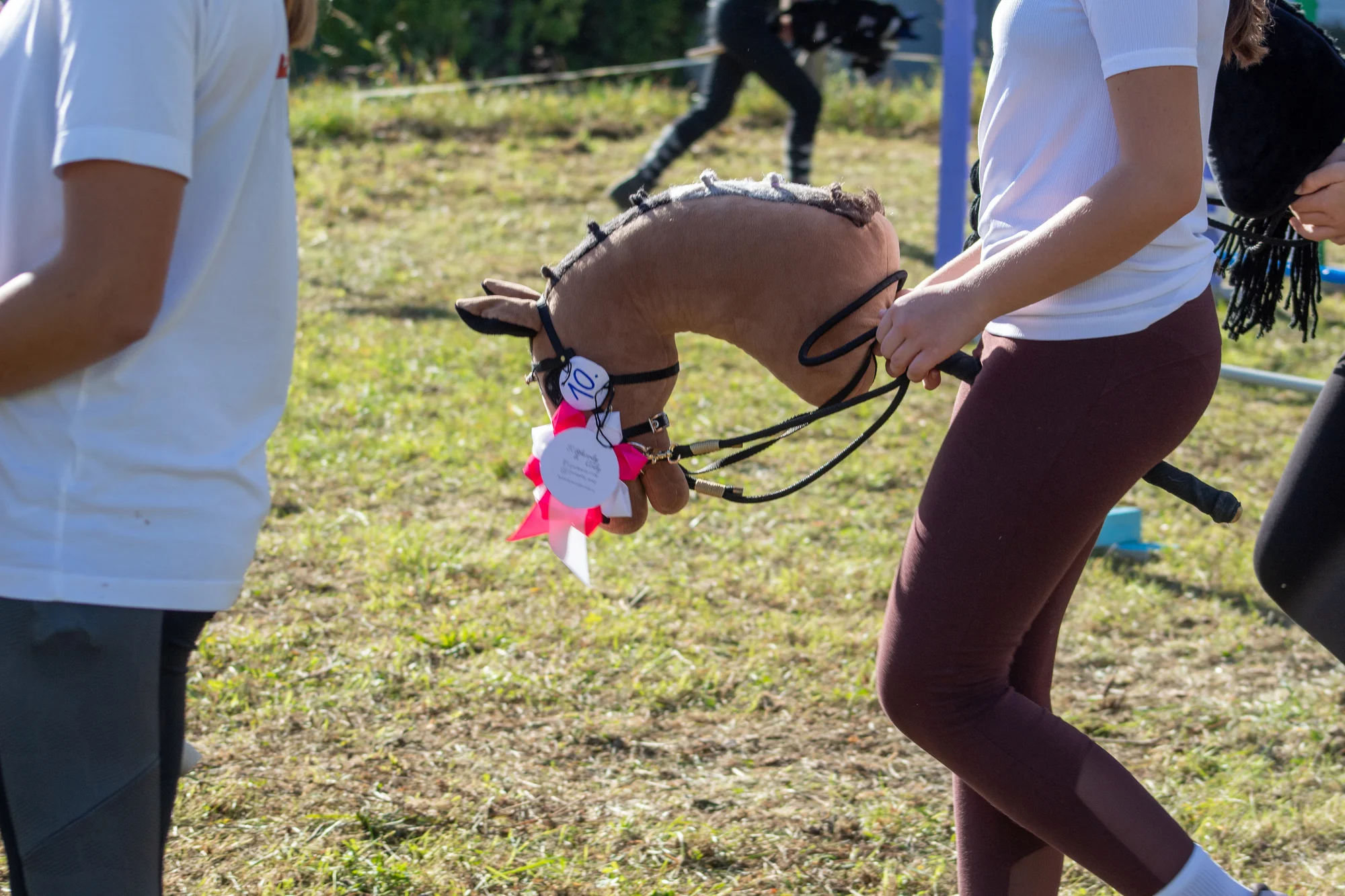 Hobby horsing: individuální parkurový, drezurní i westernový trénink, začátečníci i pokročilí