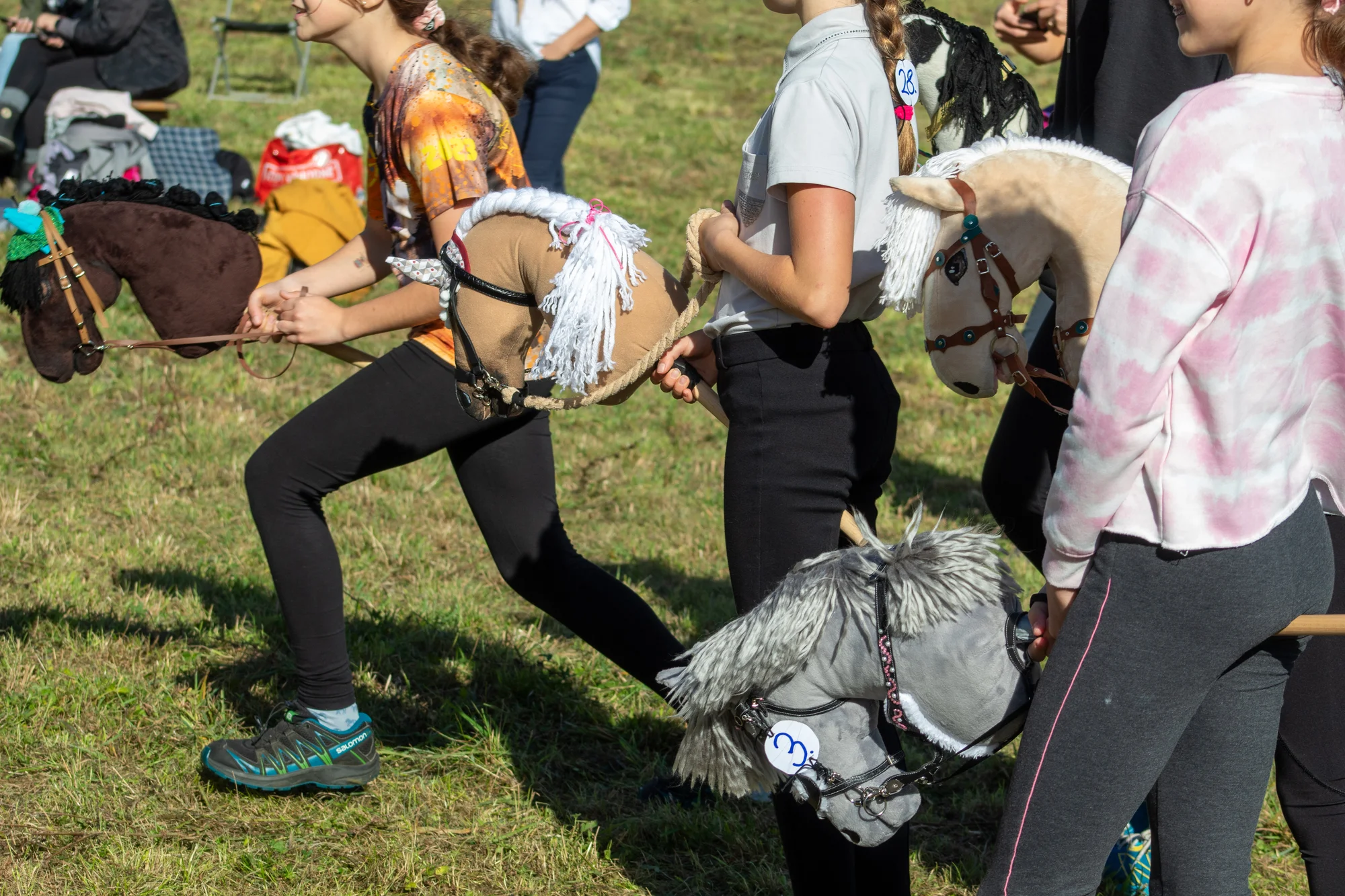 Hobby horsing: individuální parkurový, drezurní i westernový trénink, začátečníci i pokročilí