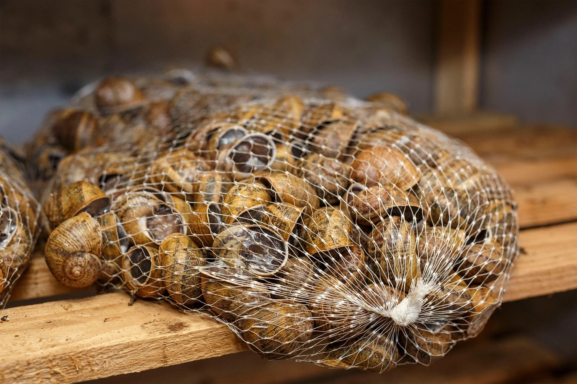 Exkurze na šnečí farmu včetně 5chodového degustačního menu s moravským vínem k tomu
