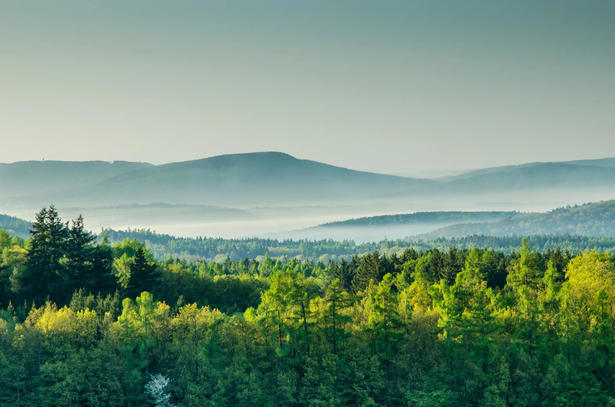 Wellness apartmán přímo na hranici Brd pro pár i rodinu