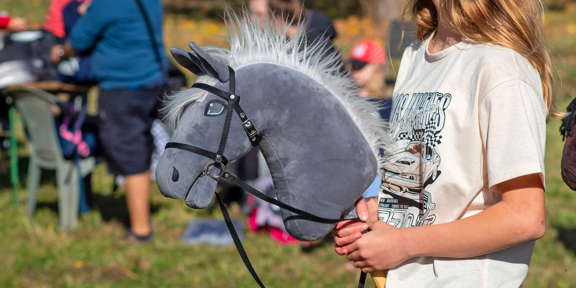 Hobby horsing: individuální parkurový, drezurní i westernový trénink, začátečníci i pokročilí