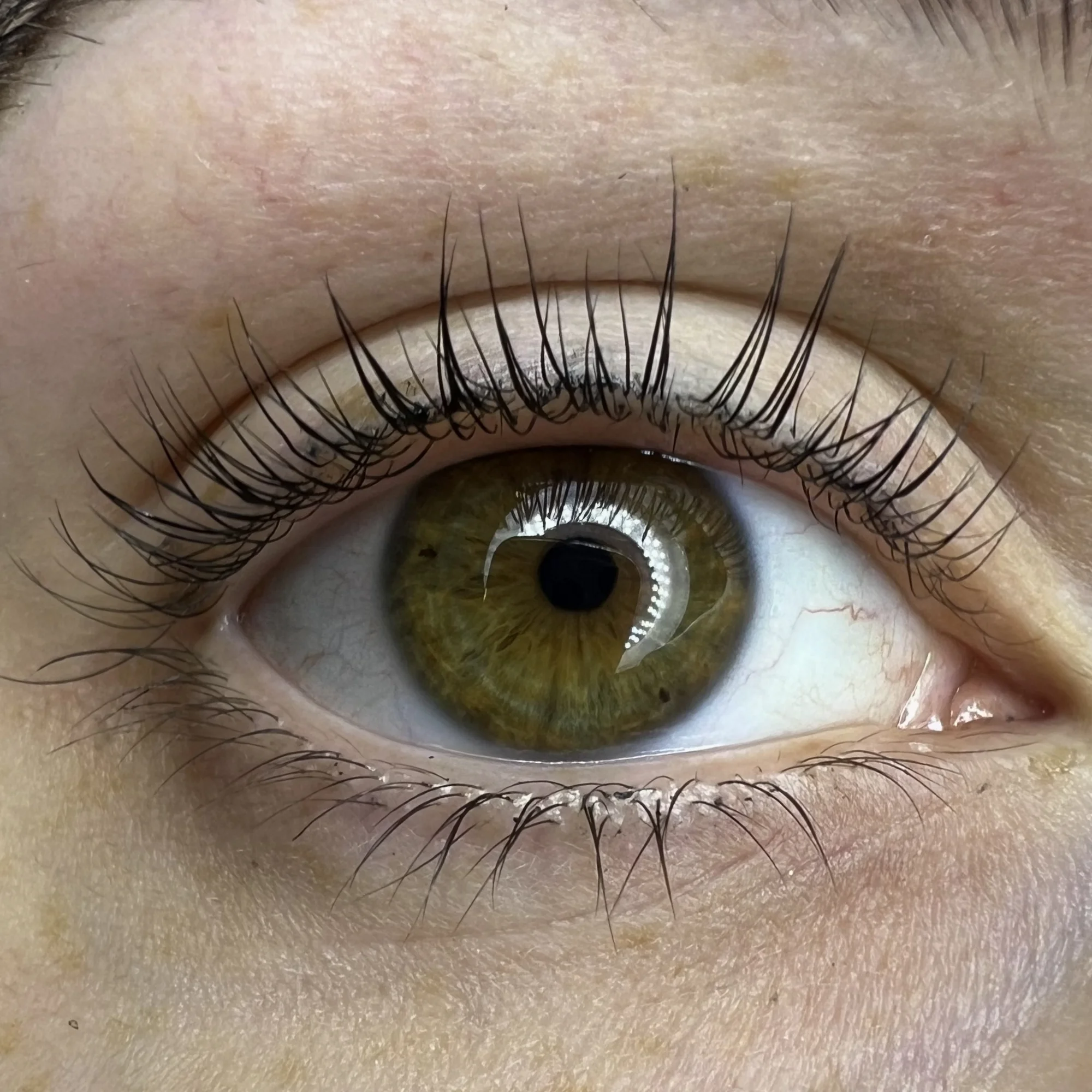 Úprava obočí, lash lifting nebo laminace obočí vč. barvení