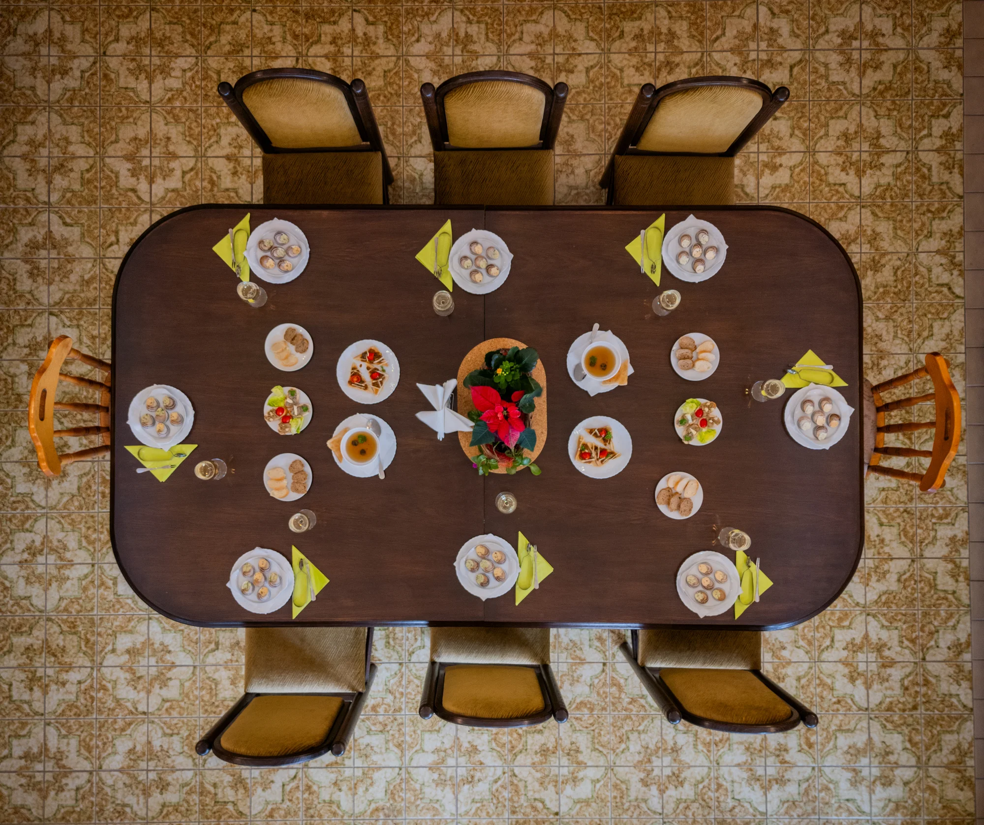 Exkurze na šnečí farmu včetně 5chodového degustačního menu s moravským vínem k tomu