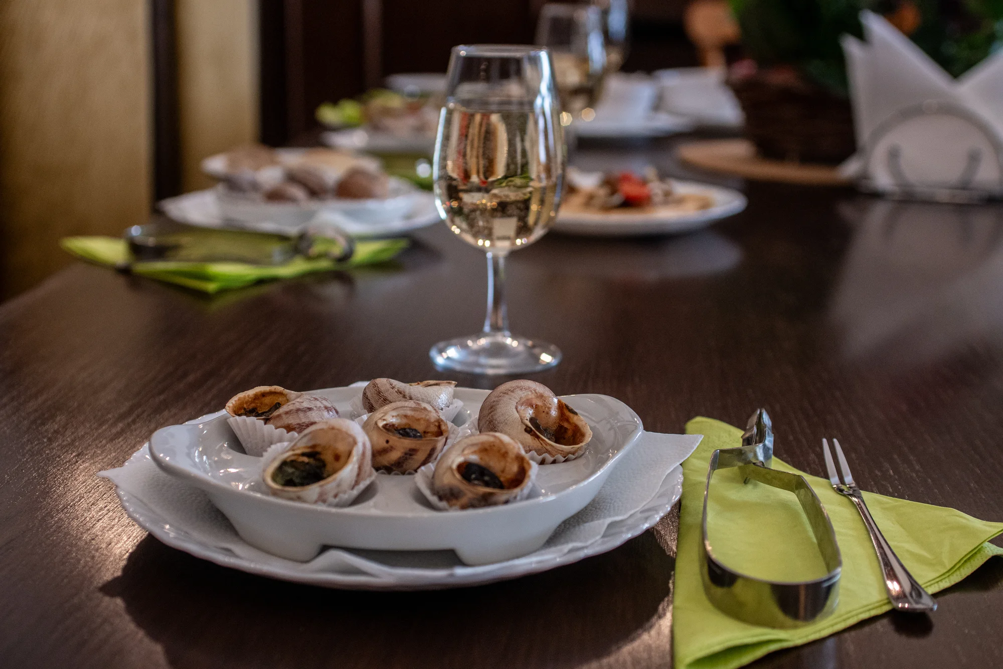 Exkurze na šnečí farmu včetně 5chodového degustačního menu s moravským vínem k tomu