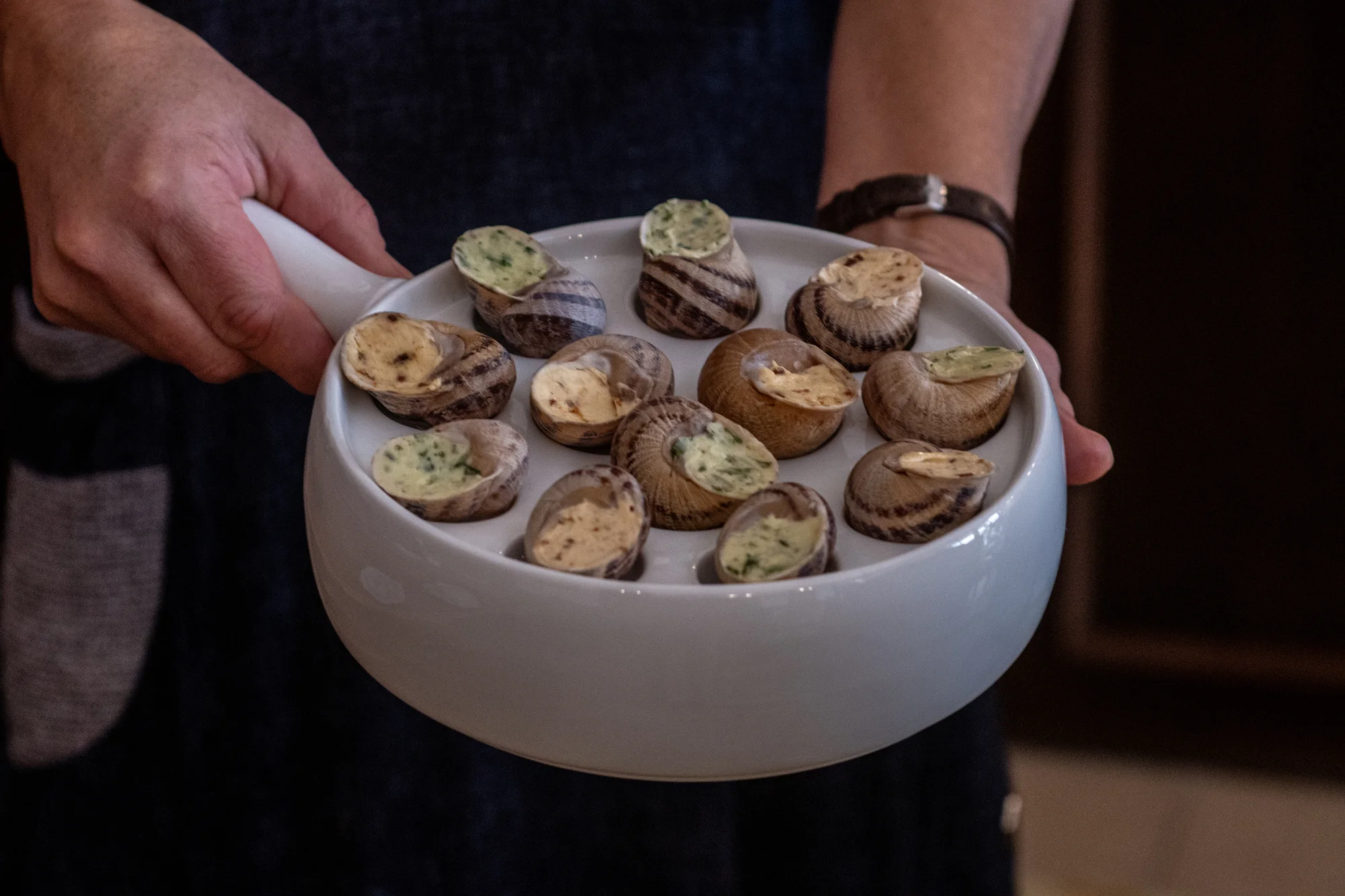 Exkurze na šnečí farmu včetně 5chodového degustačního menu s moravským vínem k tomu