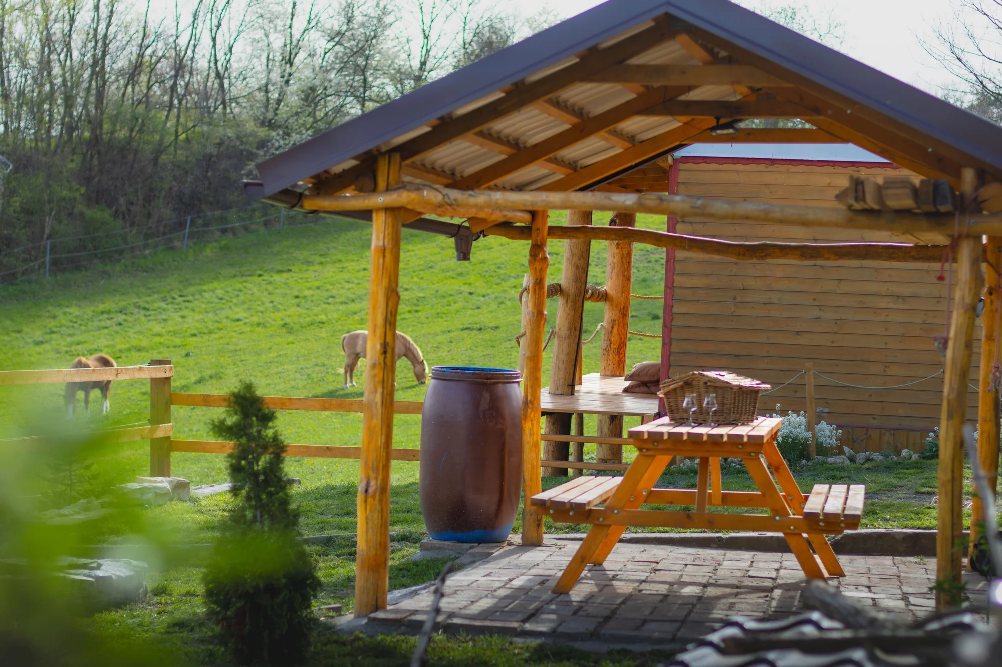 Pobyt mezi zvířátky na ranči: karavan, chatka či maringotka, mini zoo, koně a možnost snídaní