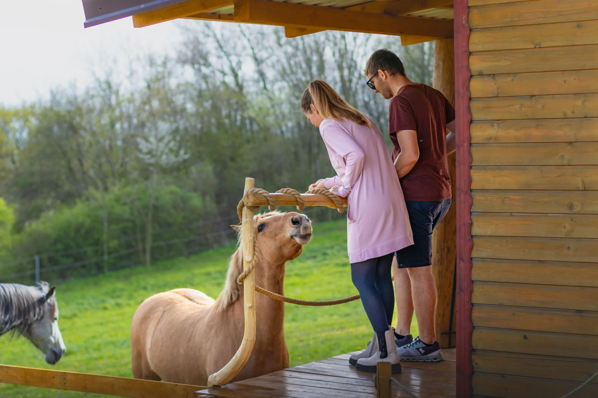 Pobyt mezi zvířátky na ranči: karavan, chatka či maringotka, mini zoo, koně a možnost snídaní