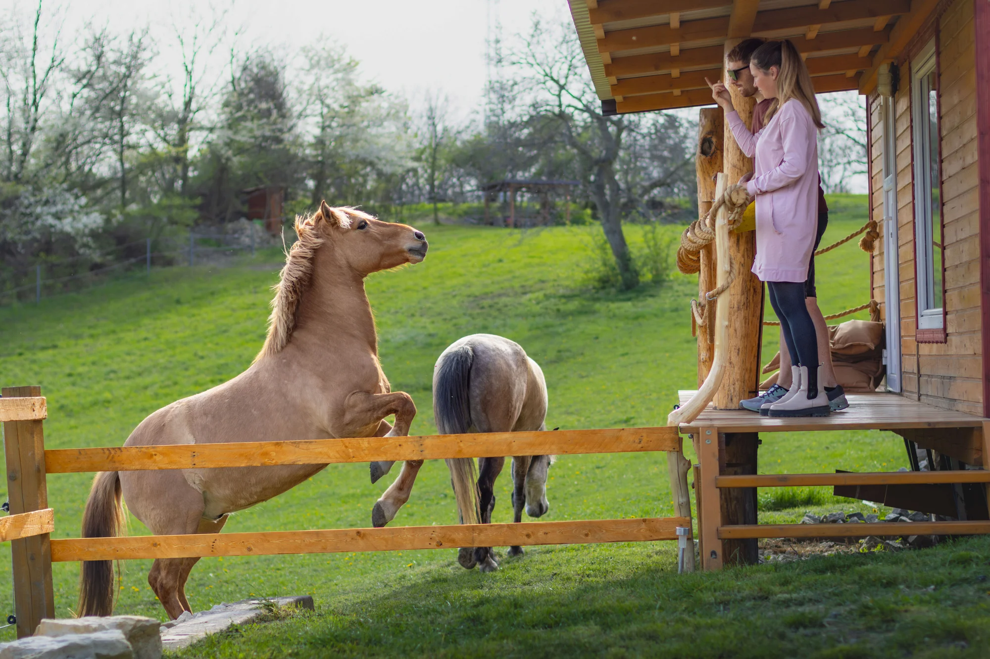 Pobyt mezi zvířátky na ranči: karavan, chatka či maringotka, mini zoo, koně a možnost snídaní
