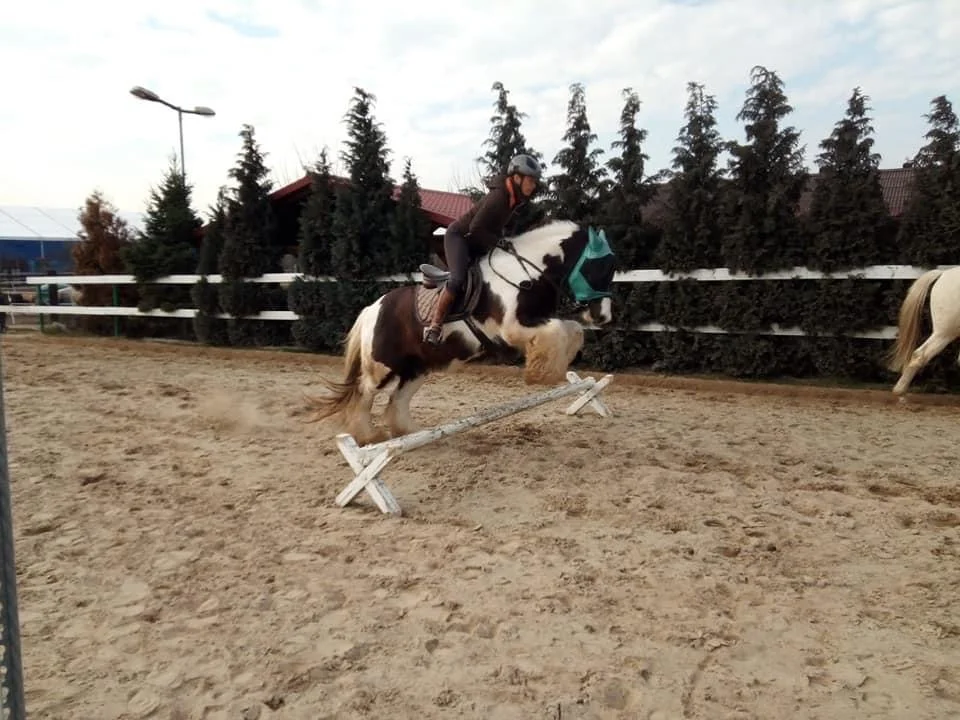Vyjížďka na koních pro děti i dospělé nebo půldenní zážitek vč. občerstvení