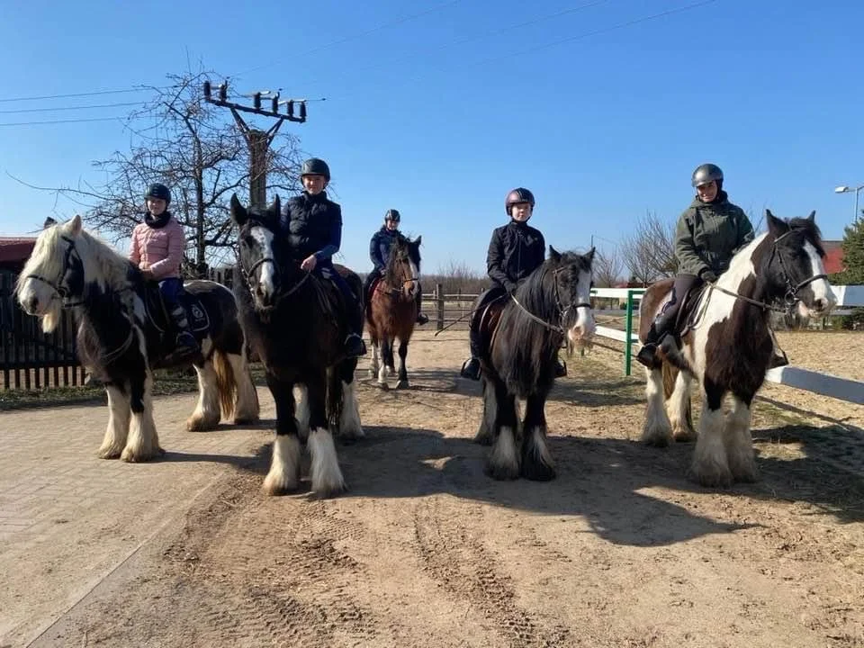Vyjížďka na koních pro děti i dospělé nebo půldenní zážitek vč. občerstvení