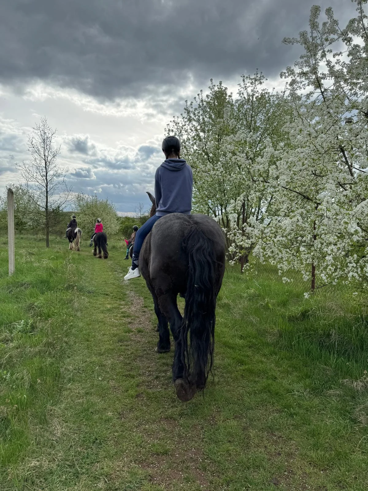 Vyjížďka na koních pro děti i dospělé nebo půldenní zážitek vč. občerstvení
