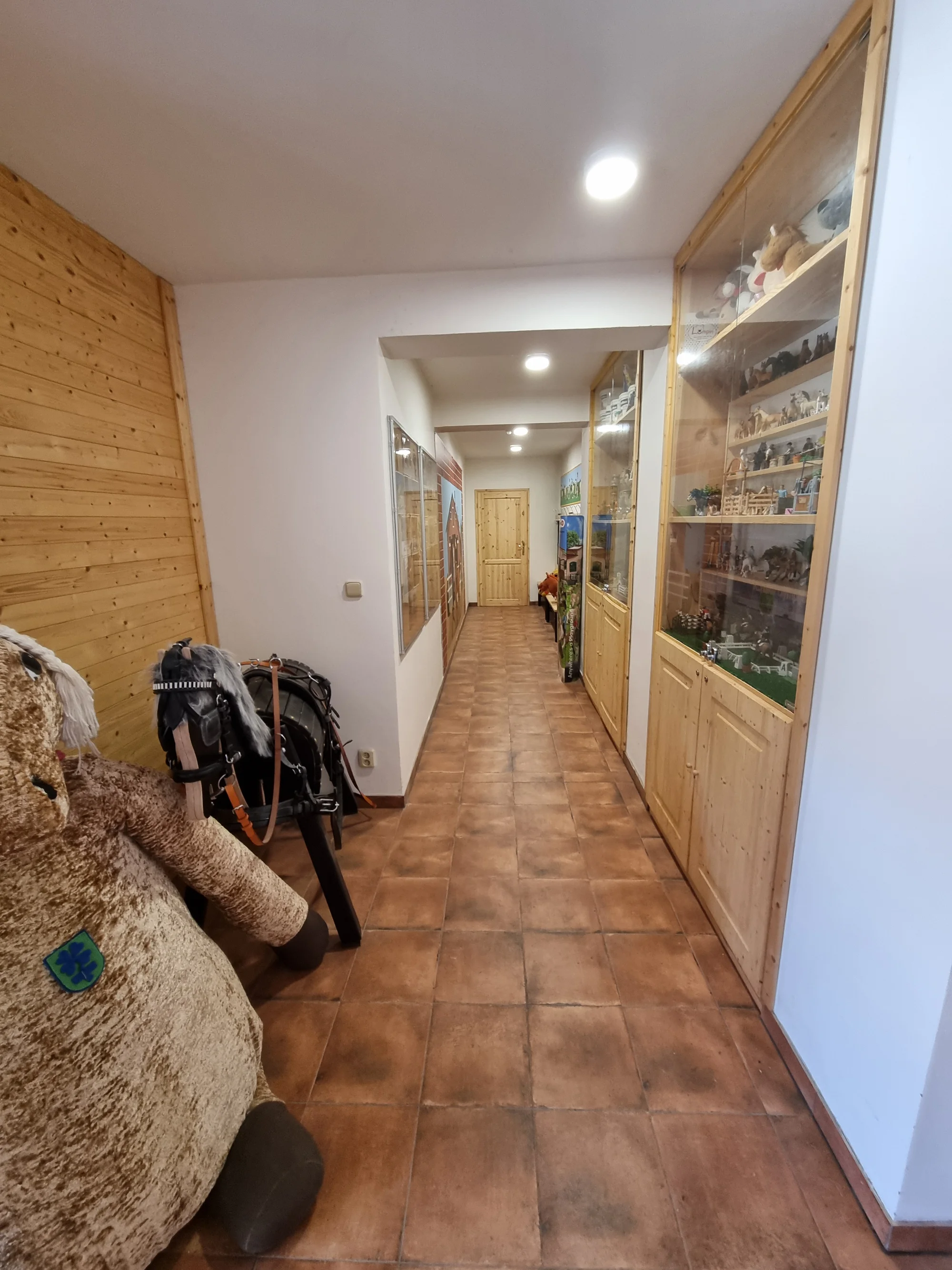 Odpoledne s minikoněm Falabella v Pošembeří: čištění a nastrojení, vycházka, pomazlení i mrkvová hostina
