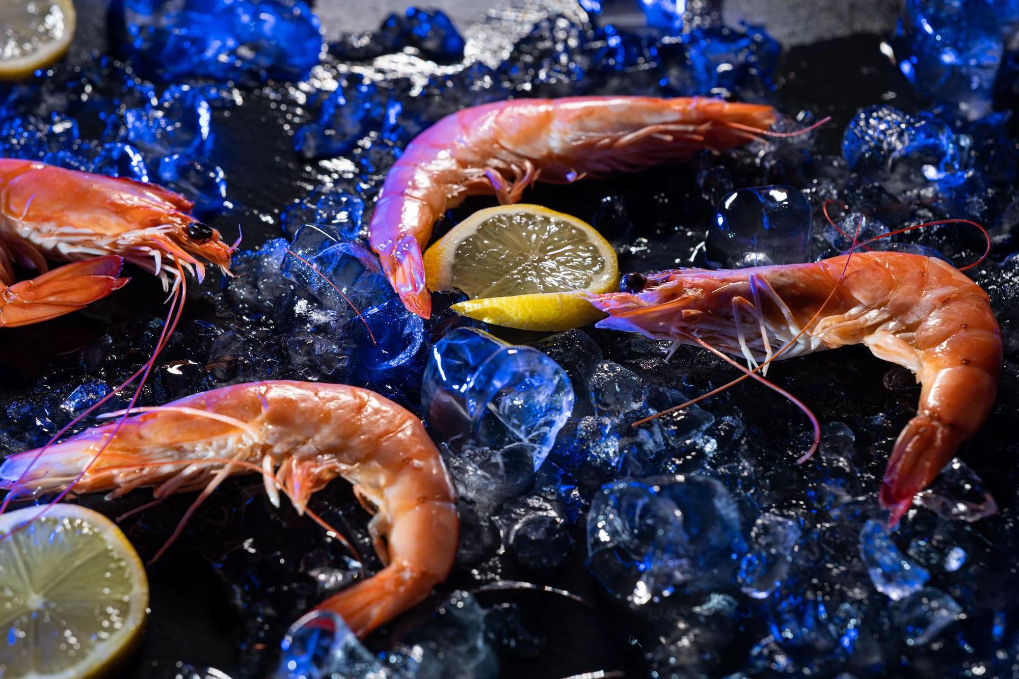 Paella pro dva a sklenka nebo láhev vína k tomu: španělská specialita s krevetami, mušlemi i kalamáry