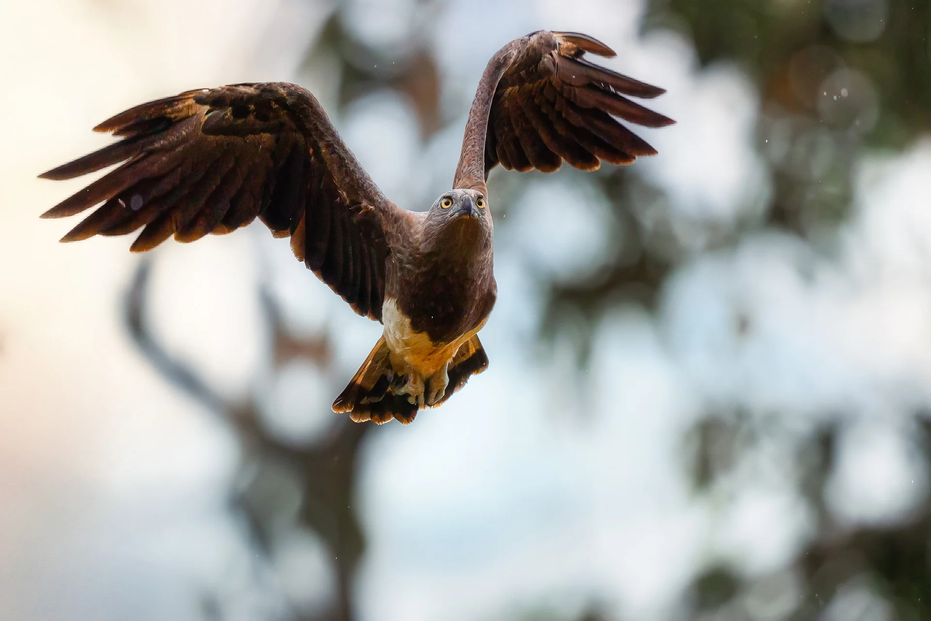 6hodinový fotografický kurz v českých zoo s profíkem Patrikem Staňkem
