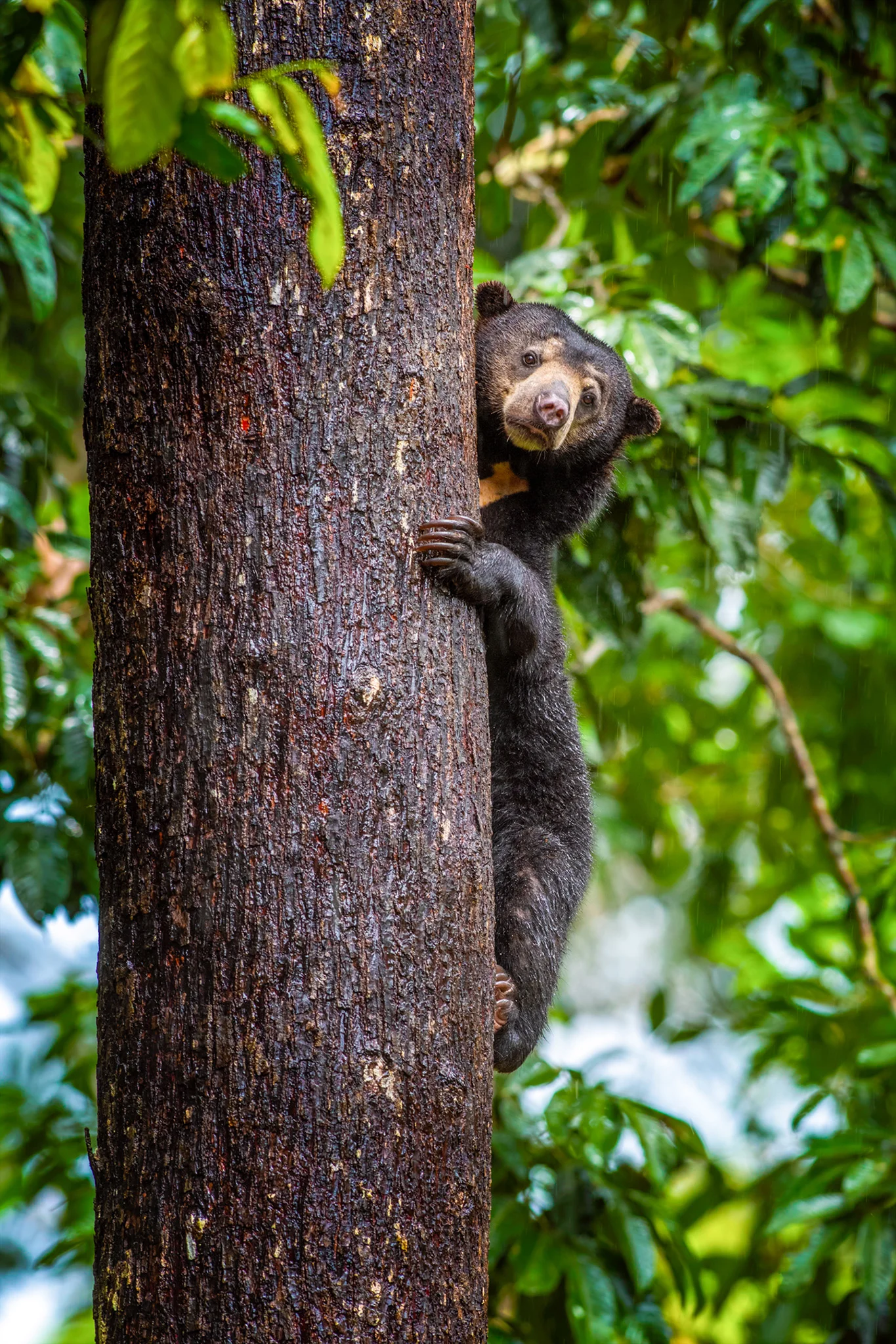 6hodinový fotografický kurz v českých zoo s profíkem Patrikem Staňkem